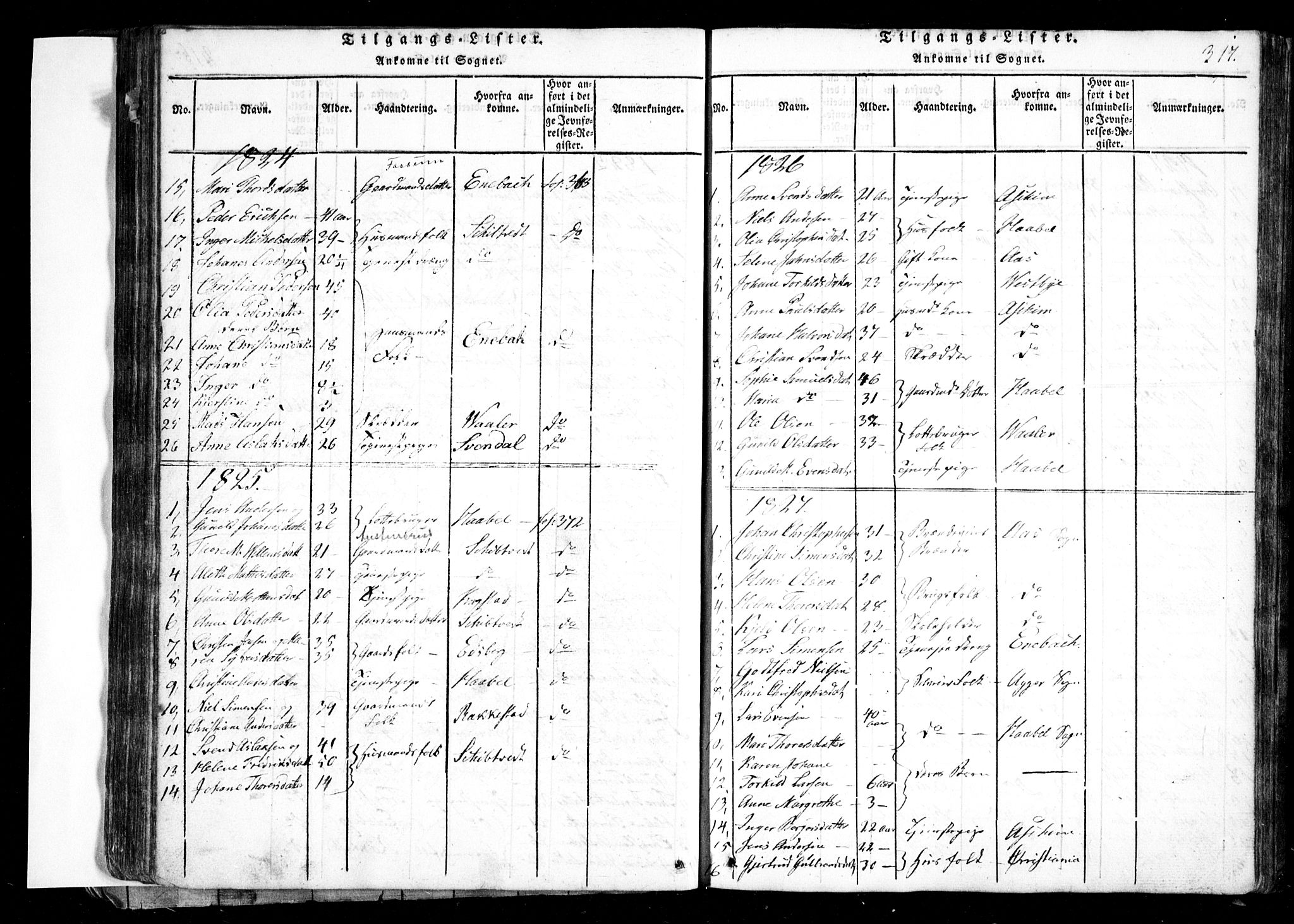 Spydeberg prestekontor Kirkebøker, SAO/A-10924/G/Ga/L0001: Parish register (copy) no. I 1, 1814-1868, p. 317