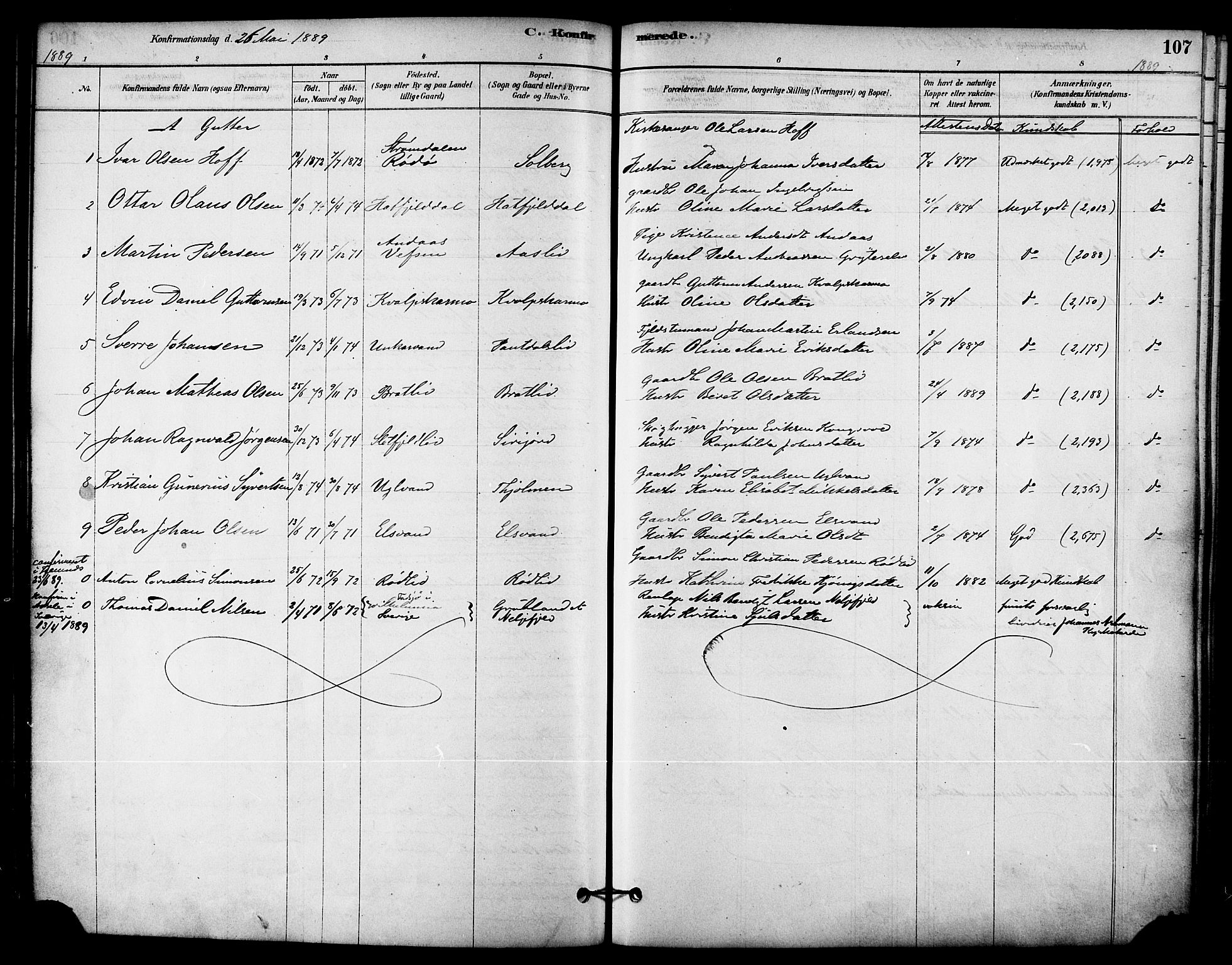 Ministerialprotokoller, klokkerbøker og fødselsregistre - Nordland, AV/SAT-A-1459/823/L0325: Parish register (official) no. 823A02, 1878-1898, p. 107