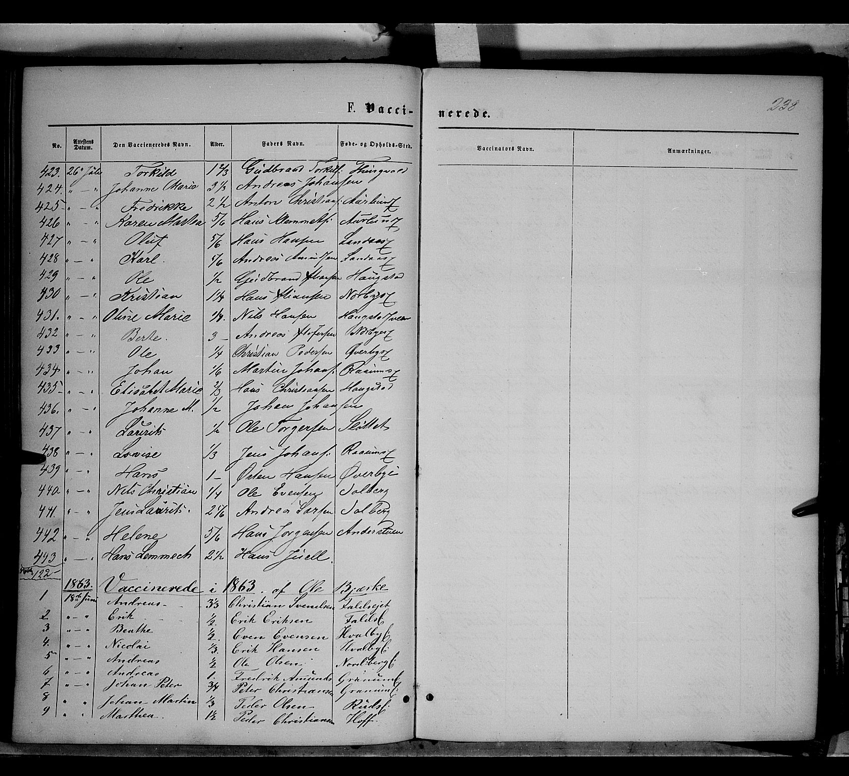 Søndre Land prestekontor, SAH/PREST-122/K/L0001: Parish register (official) no. 1, 1860-1877, p. 238