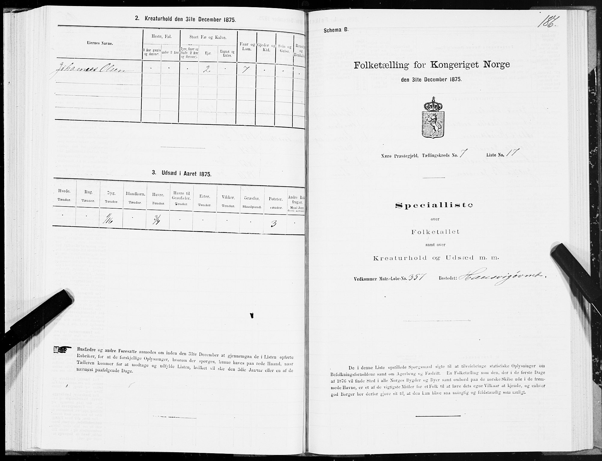 SAT, 1875 census for 1751P Nærøy, 1875, p. 3186