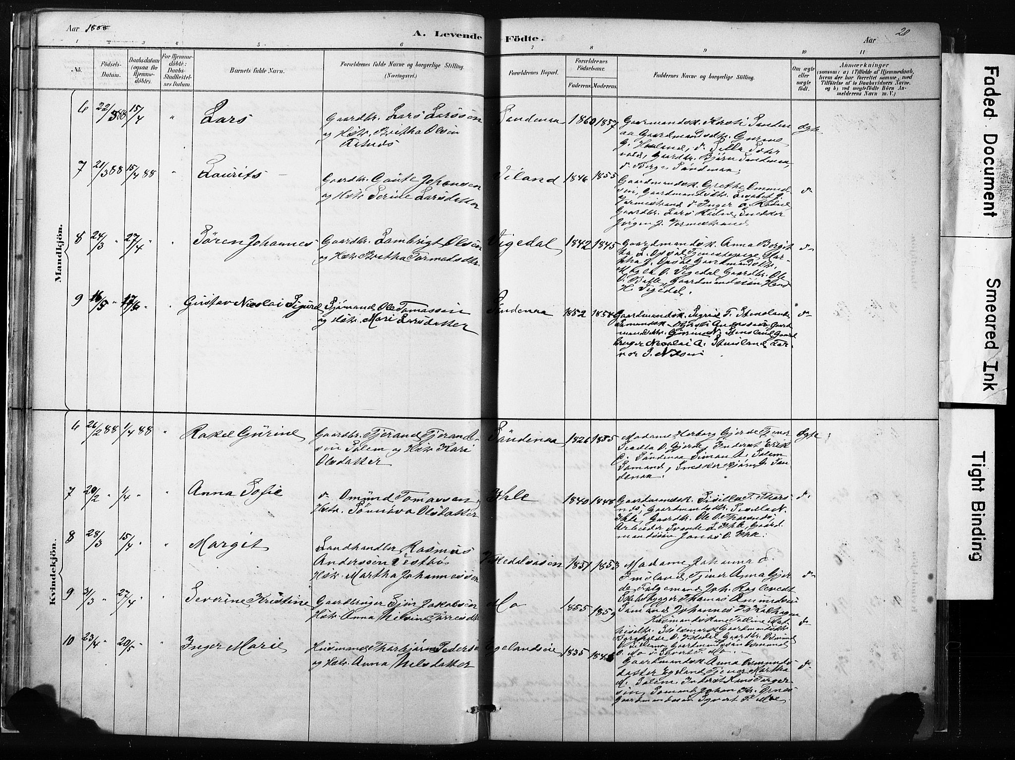 Vikedal sokneprestkontor, AV/SAST-A-101840/01/IV: Parish register (official) no. A 10, 1884-1907, p. 20