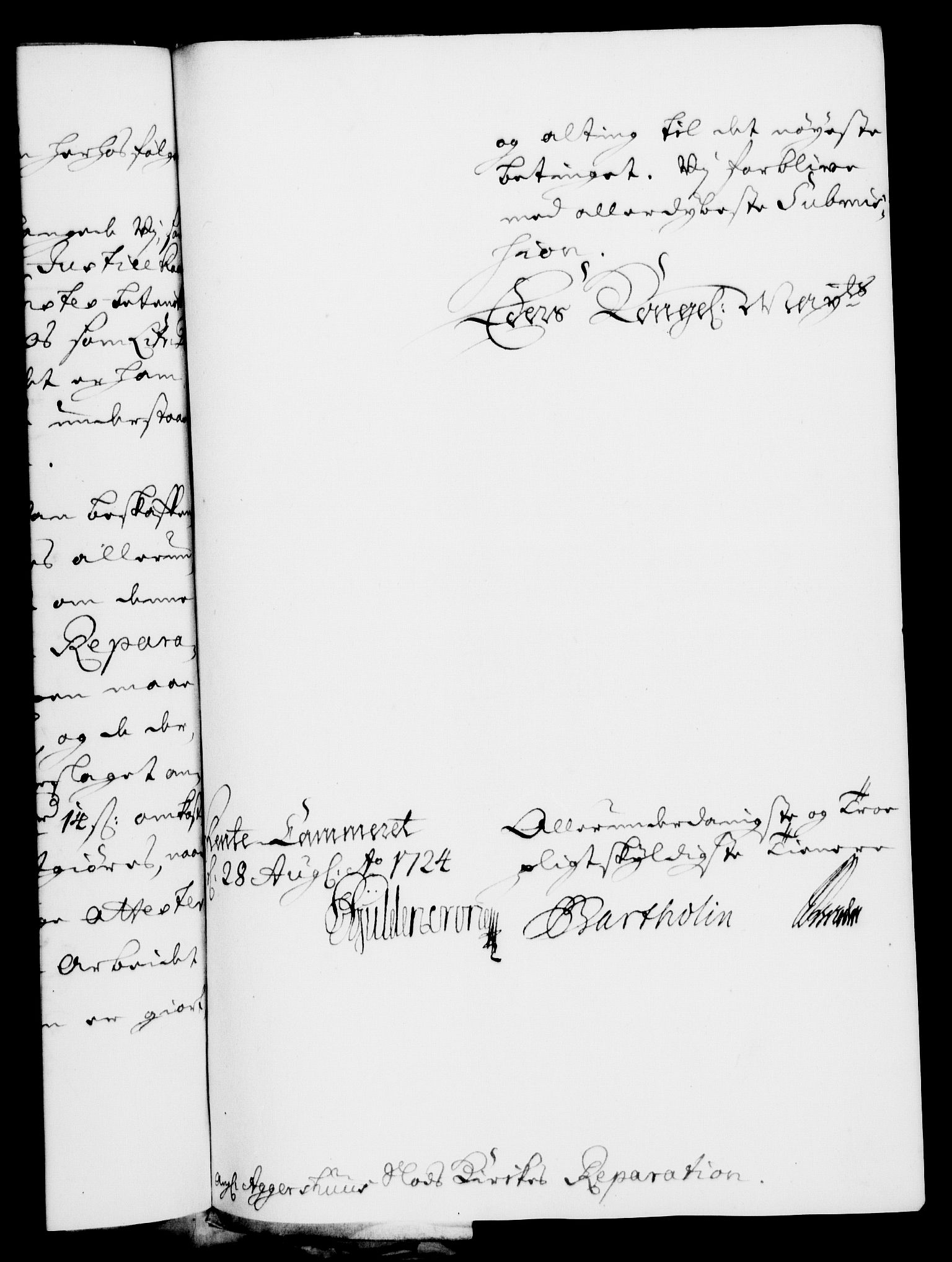 Rentekammeret, Kammerkanselliet, RA/EA-3111/G/Gf/Gfa/L0007: Norsk relasjons- og resolusjonsprotokoll (merket RK 52.7), 1724, p. 732