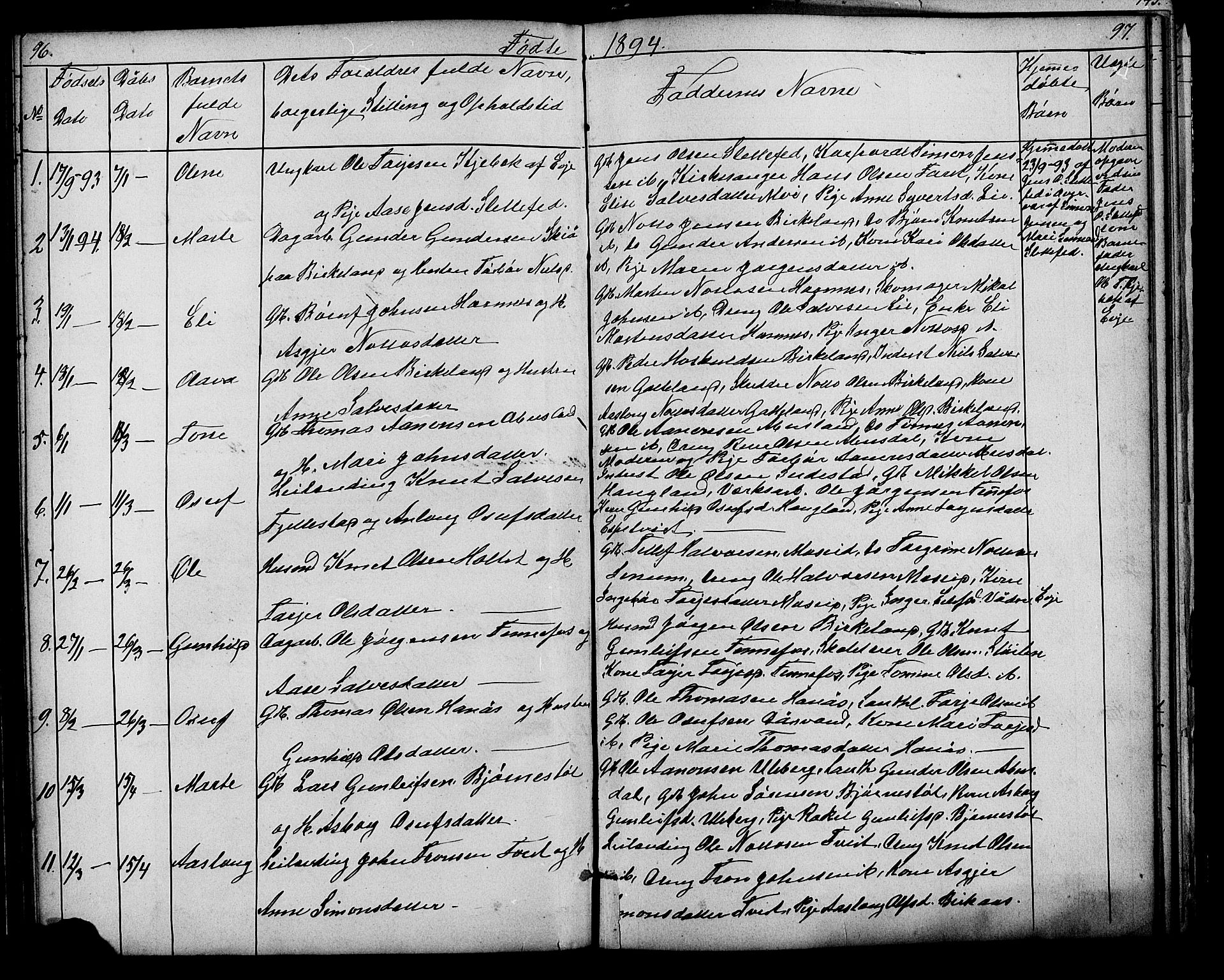 Evje sokneprestkontor, SAK/1111-0008/F/Fb/Fbb/L0002: Parish register (copy) no. B 2, 1879-1909, p. 96-97