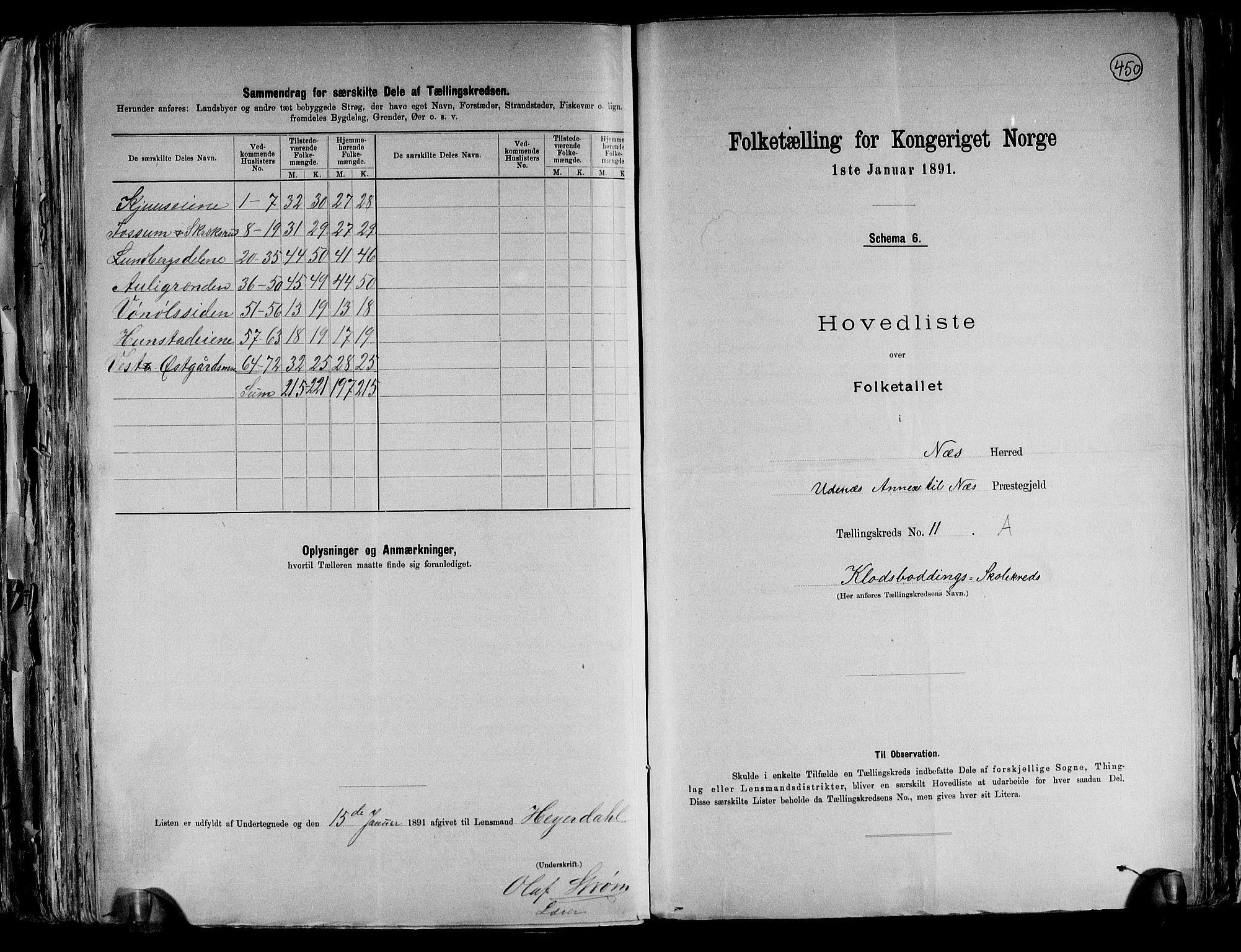 RA, 1891 census for 0236 Nes, 1891, p. 29