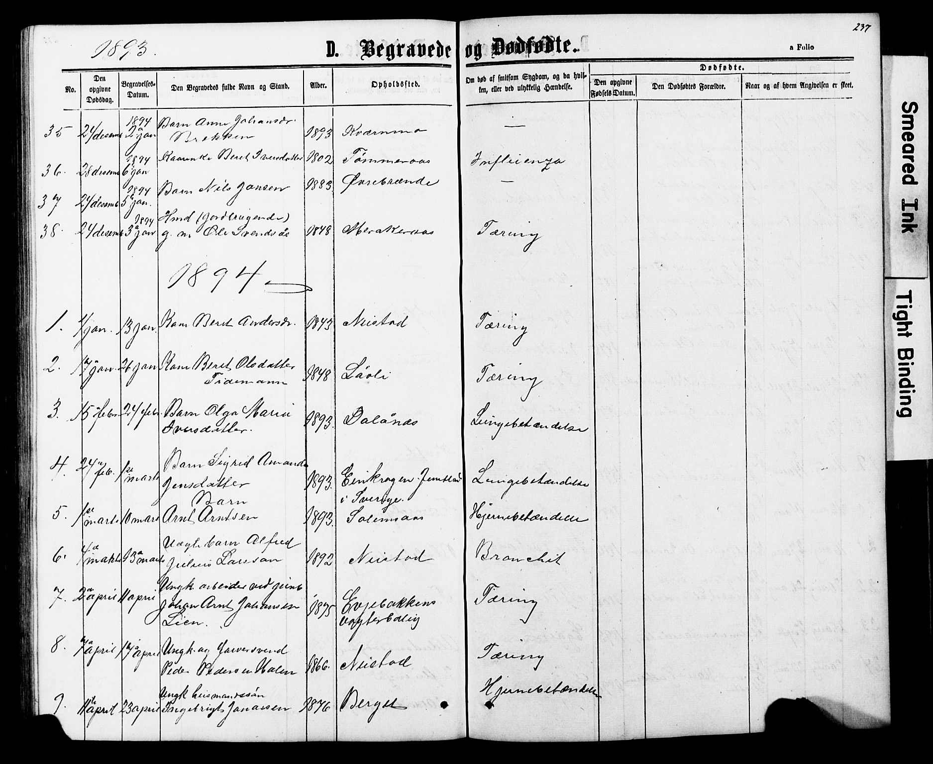 Ministerialprotokoller, klokkerbøker og fødselsregistre - Nord-Trøndelag, SAT/A-1458/706/L0049: Parish register (copy) no. 706C01, 1864-1895, p. 237