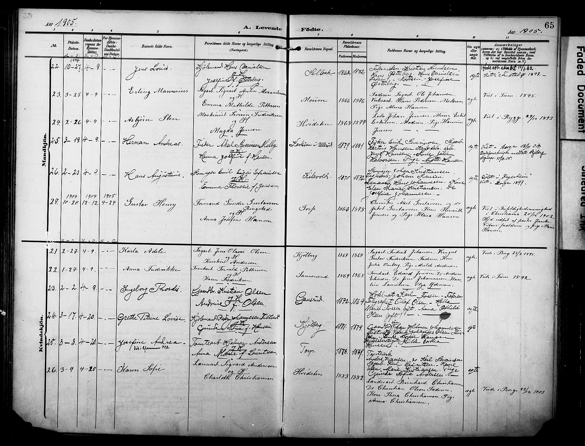 Borge prestekontor Kirkebøker, SAO/A-10903/F/Fa/L0009: Parish register (official) no. I 9, 1902-1911, p. 65