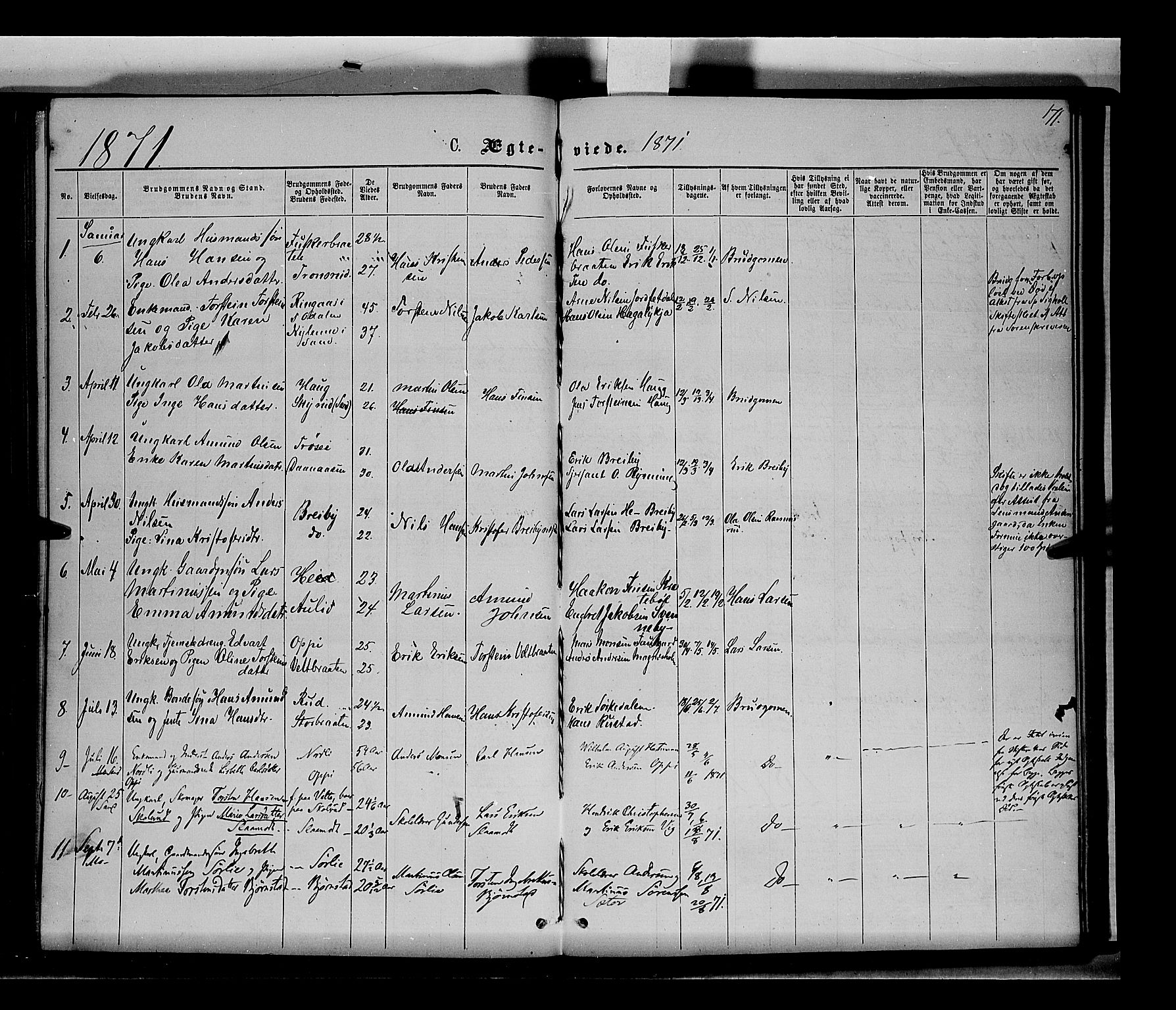 Nord-Odal prestekontor, AV/SAH-PREST-032/H/Ha/Haa/L0004: Parish register (official) no. 4, 1866-1873, p. 171