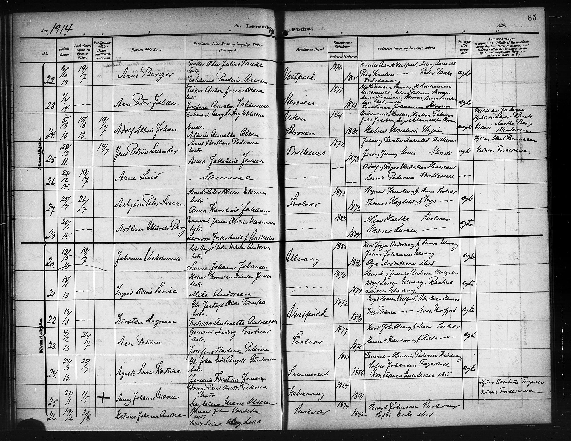 Ministerialprotokoller, klokkerbøker og fødselsregistre - Nordland, AV/SAT-A-1459/874/L1079: Parish register (copy) no. 874C08, 1907-1915, p. 85