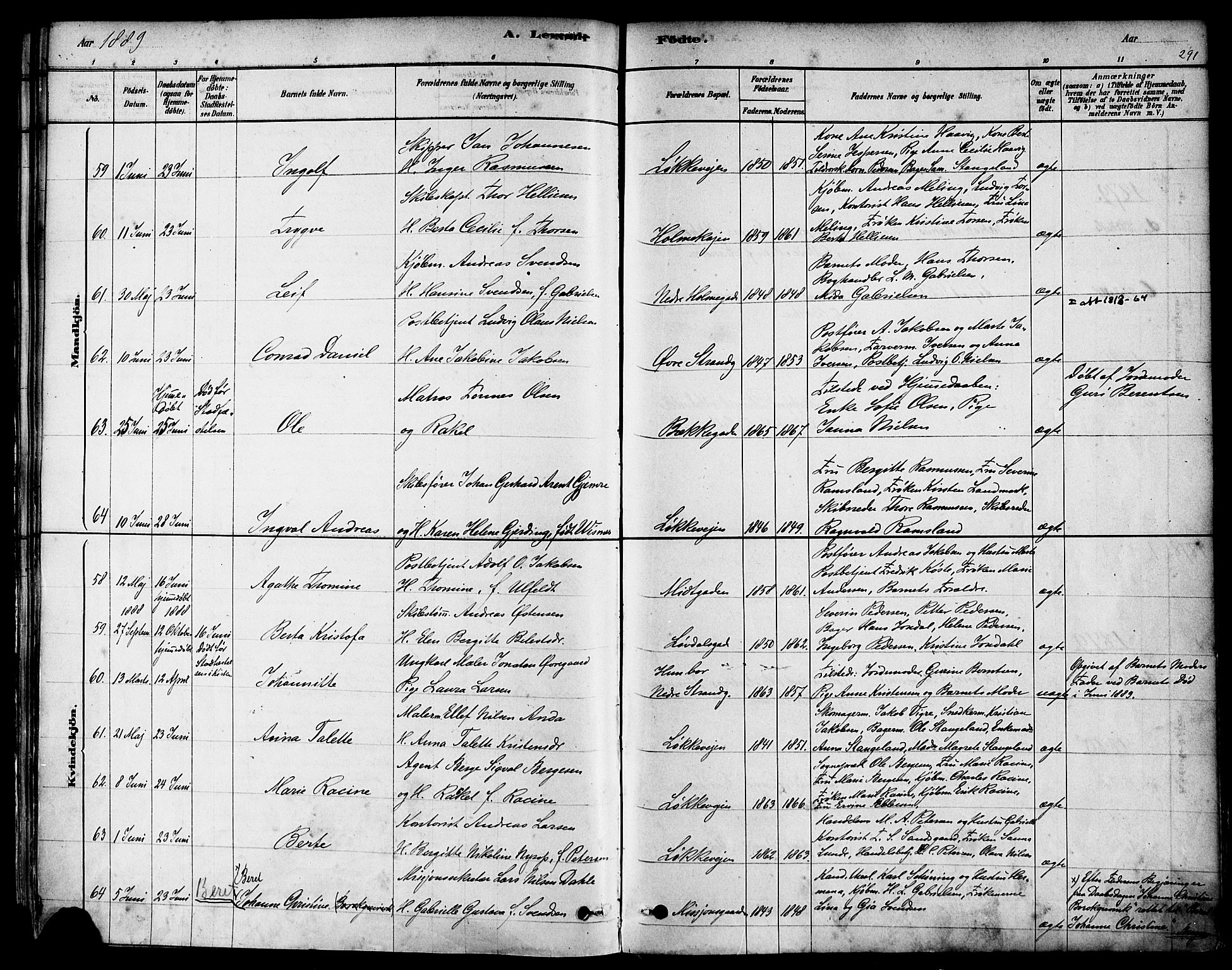 Domkirken sokneprestkontor, SAST/A-101812/001/30/30BA/L0026: Parish register (official) no. A 25, 1878-1889, p. 291