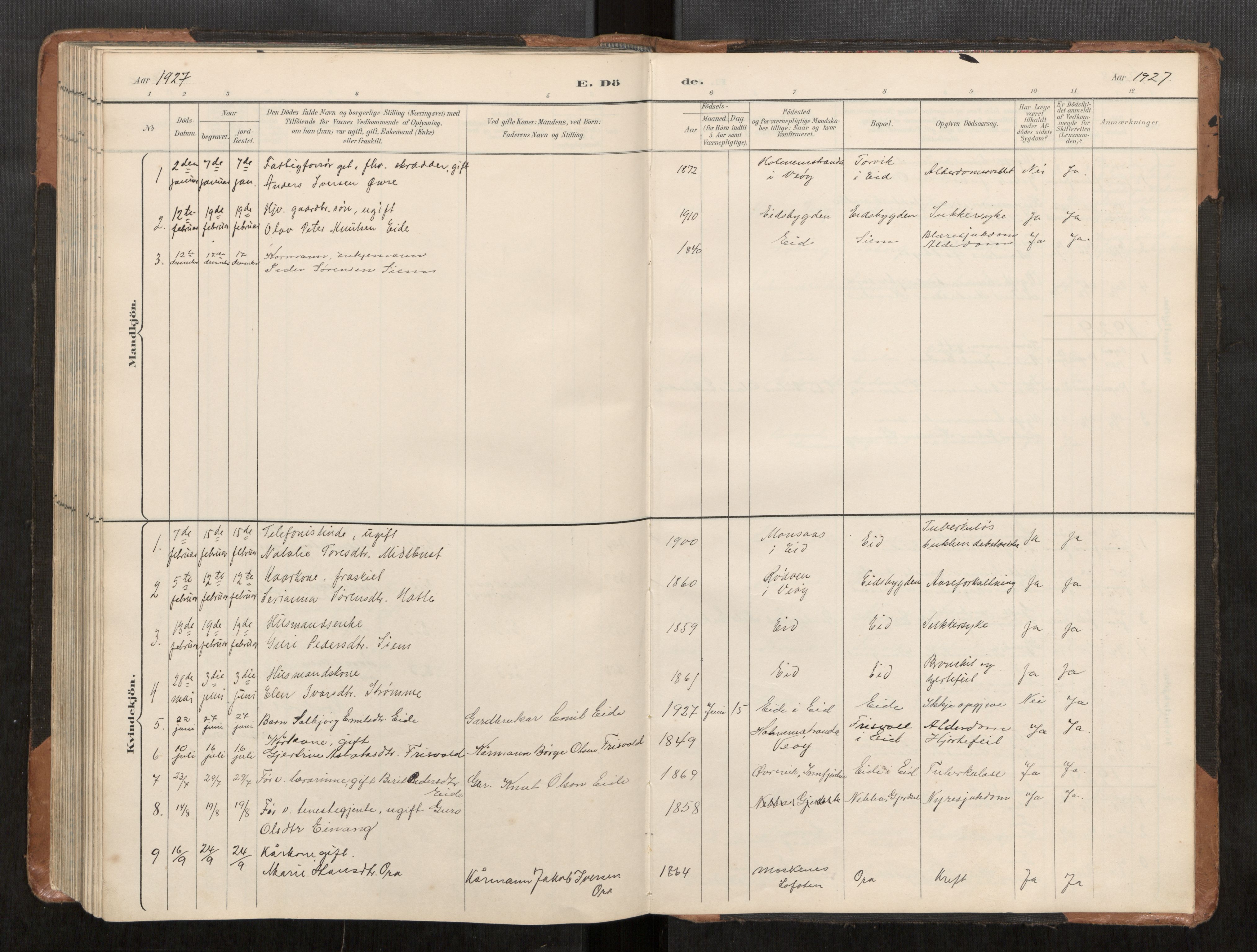 Ministerialprotokoller, klokkerbøker og fødselsregistre - Møre og Romsdal, AV/SAT-A-1454/542/L0561: Parish register (copy) no. 542C03, 1893-1931