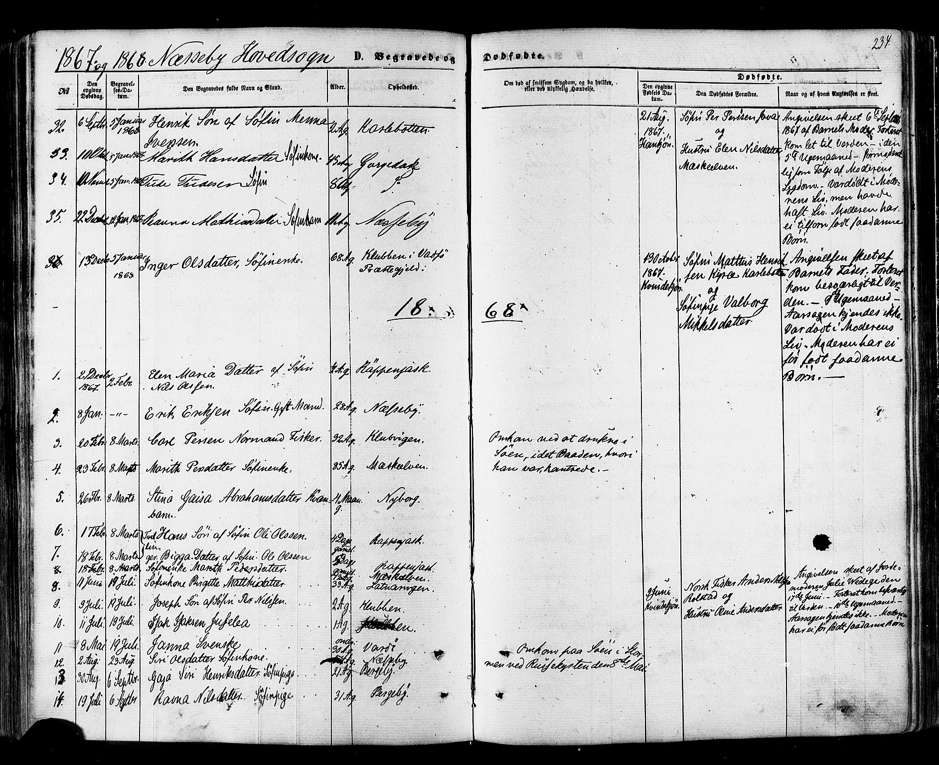 Nesseby sokneprestkontor, SATØ/S-1330/H/Ha/L0003kirke: Parish register (official) no. 3 /1, 1865-1876, p. 234