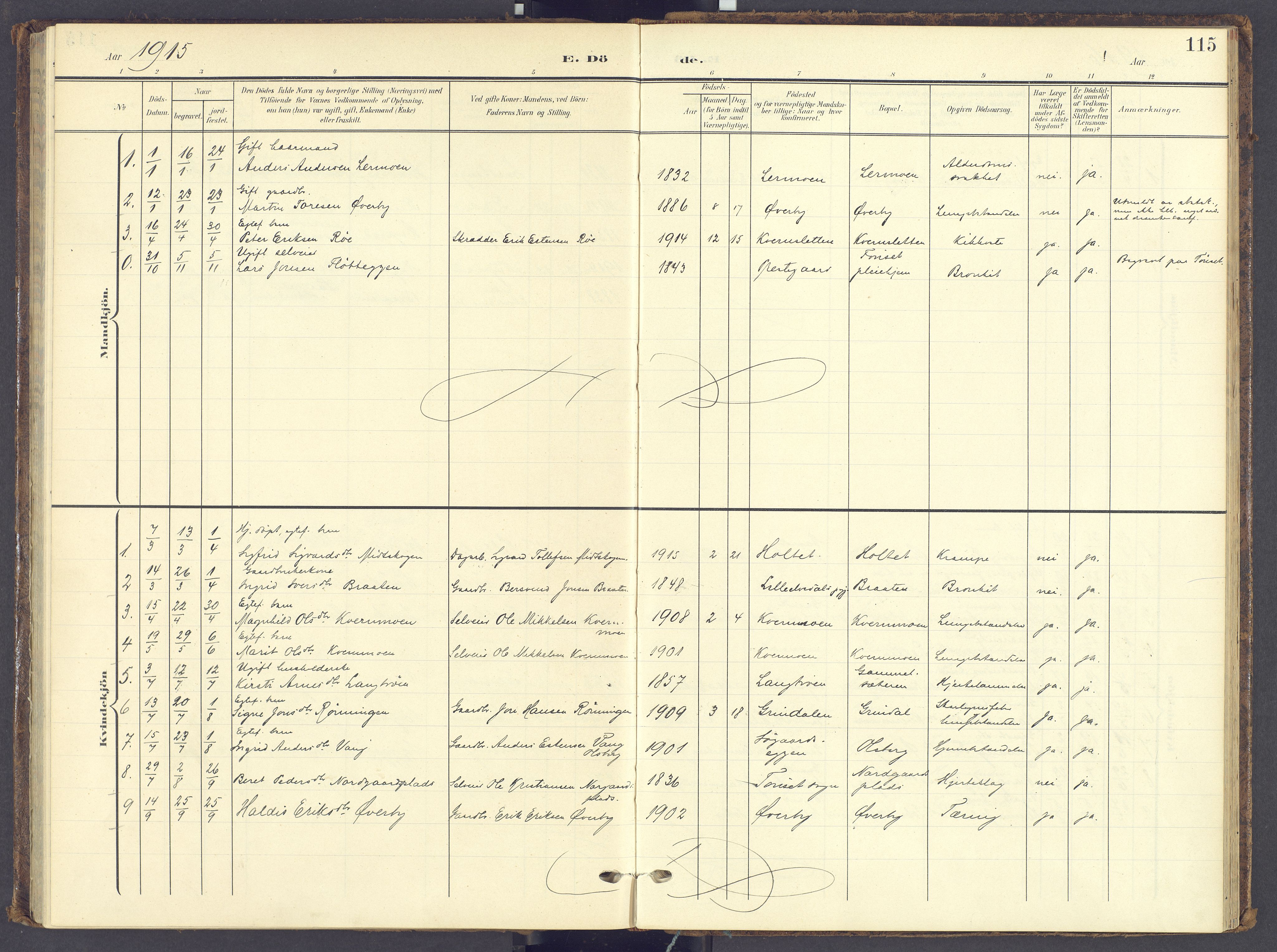Tynset prestekontor, SAH/PREST-058/H/Ha/Haa/L0028: Parish register (official) no. 28, 1902-1929, p. 115
