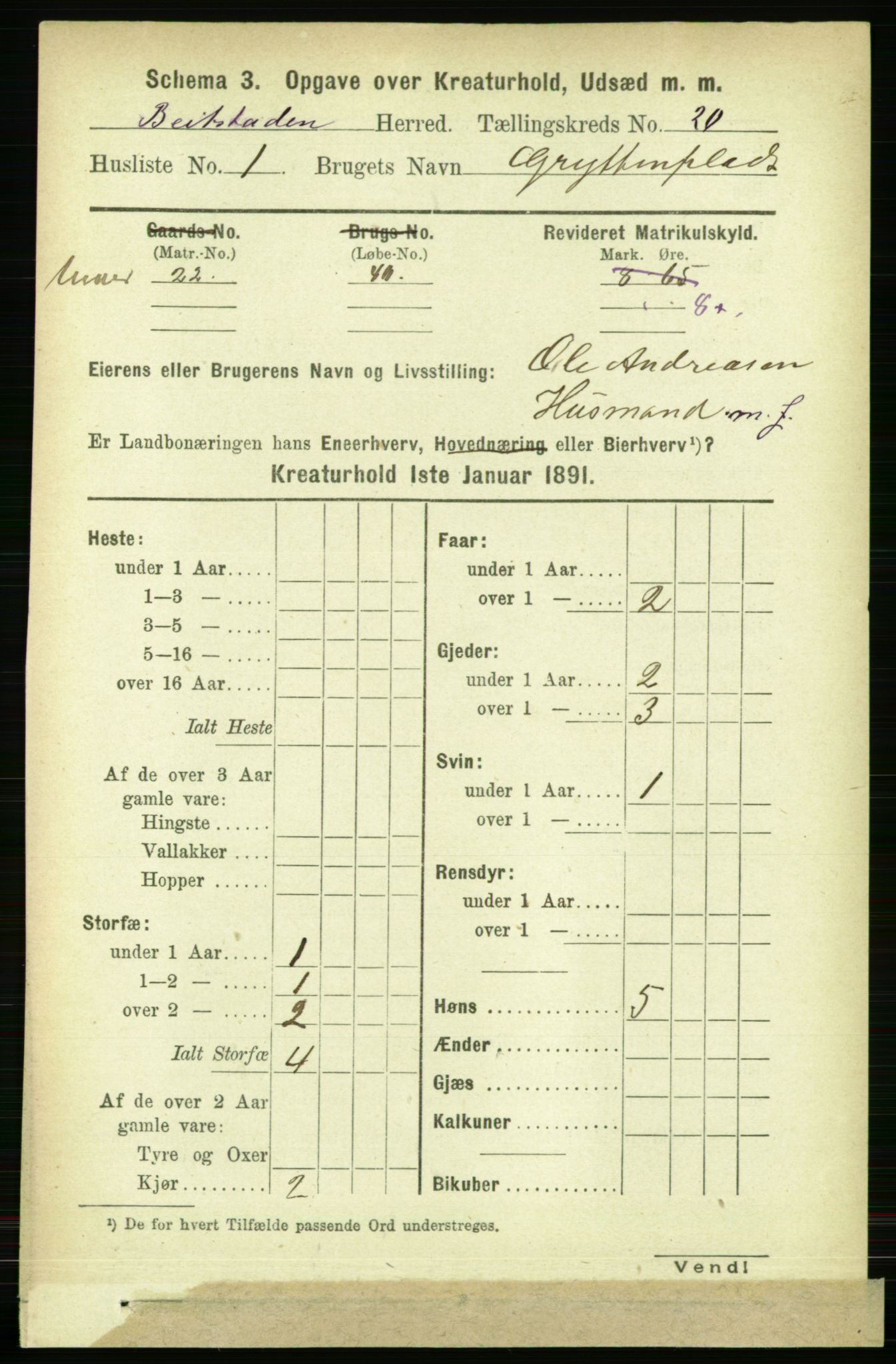 RA, 1891 census for 1727 Beitstad, 1891, p. 6913