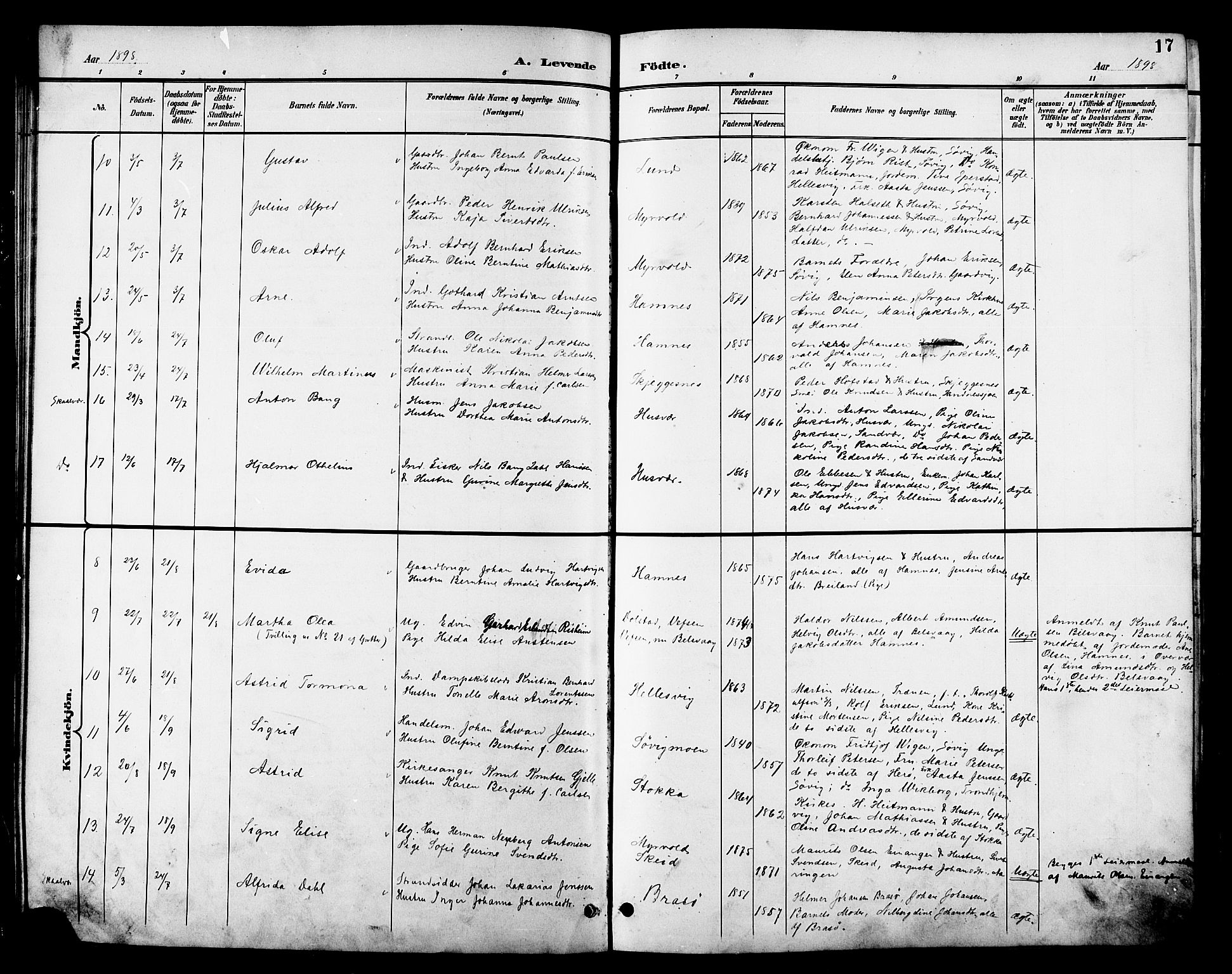 Ministerialprotokoller, klokkerbøker og fødselsregistre - Nordland, AV/SAT-A-1459/830/L0463: Parish register (copy) no. 830C05, 1895-1906, p. 17