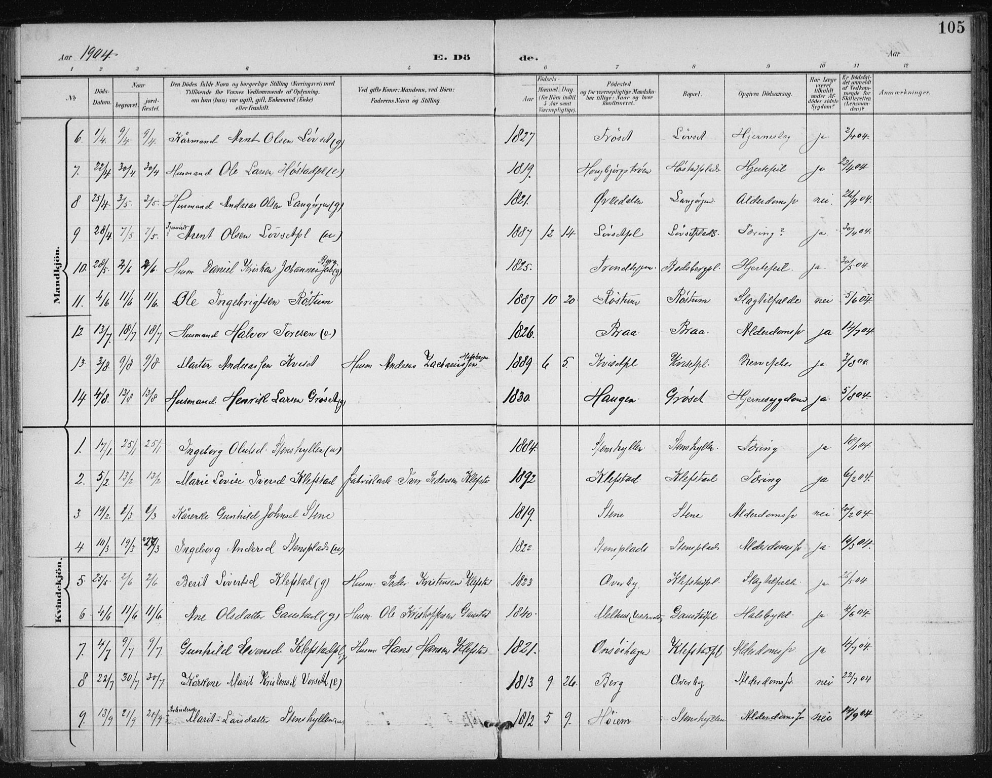 Ministerialprotokoller, klokkerbøker og fødselsregistre - Sør-Trøndelag, SAT/A-1456/612/L0380: Parish register (official) no. 612A12, 1898-1907, p. 105