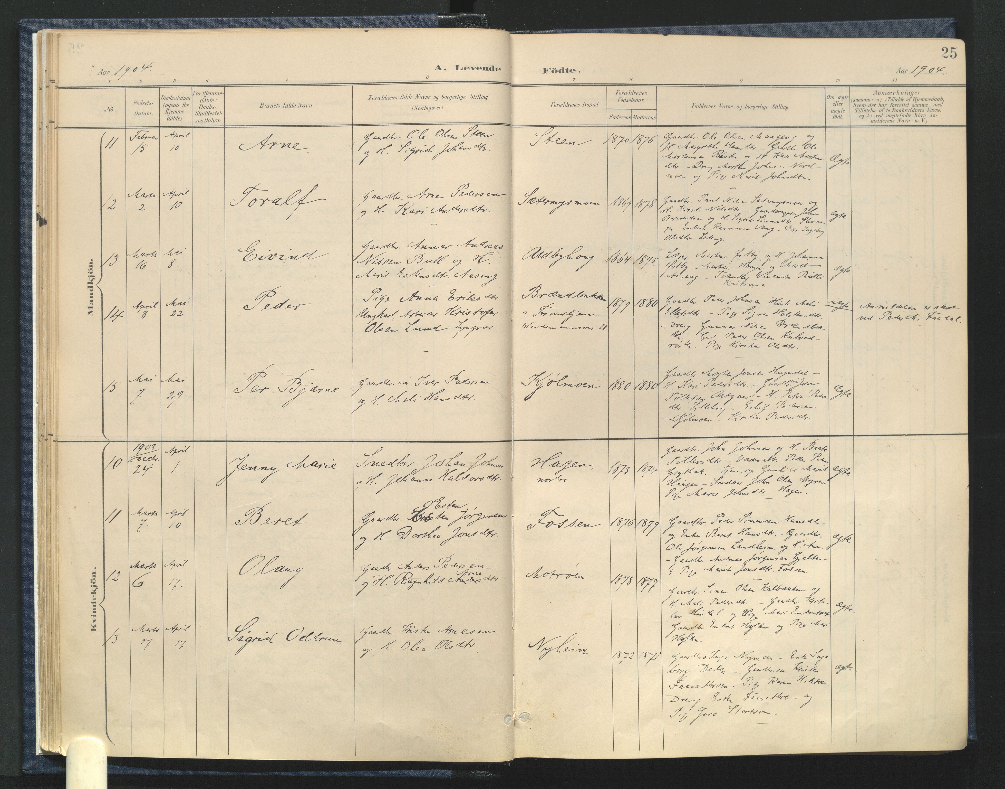 Tynset prestekontor, SAH/PREST-058/H/Ha/Haa/L0025: Parish register (official) no. 25, 1900-1914, p. 25