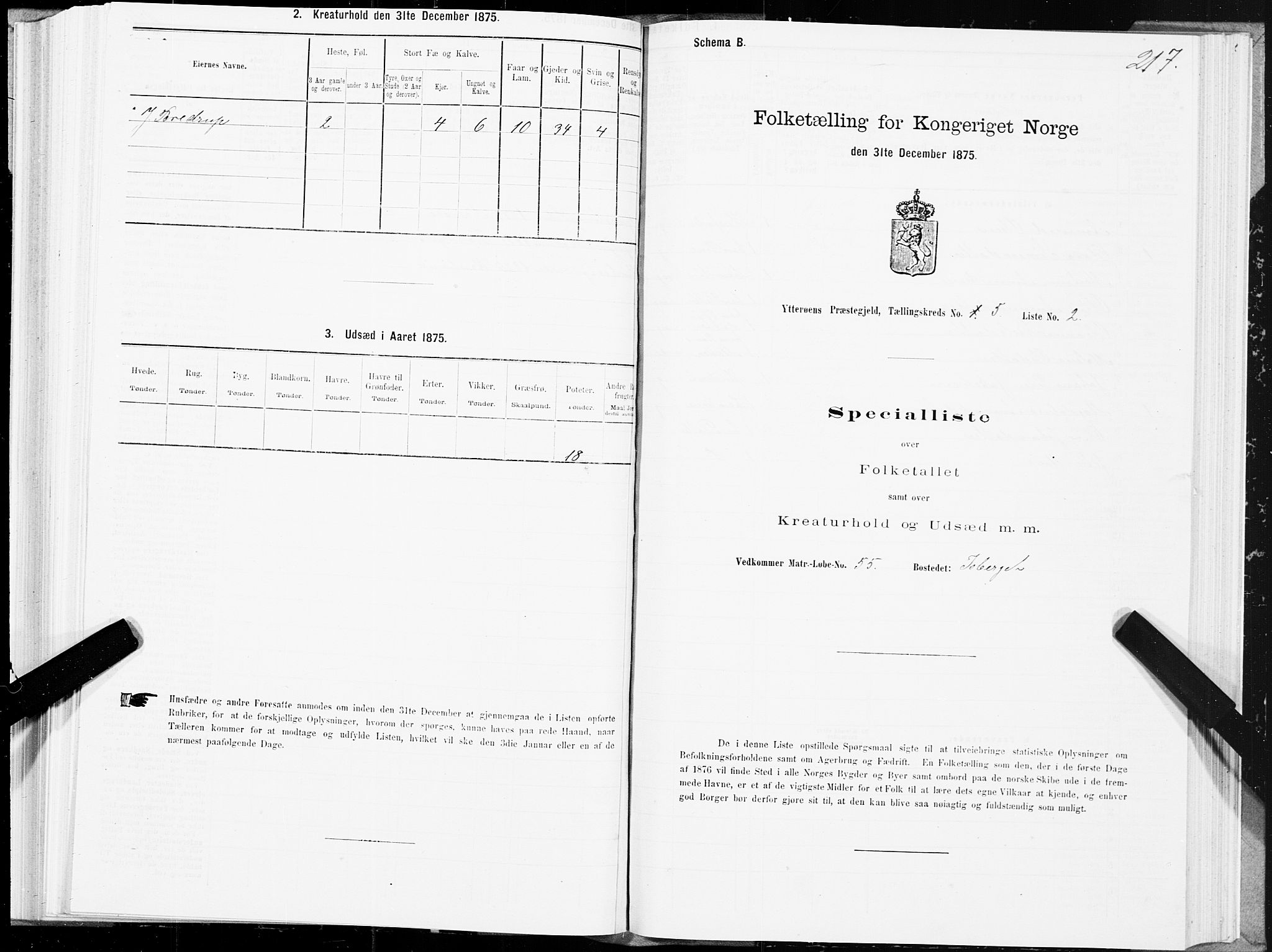 SAT, 1875 census for 1722P Ytterøy, 1875, p. 2217