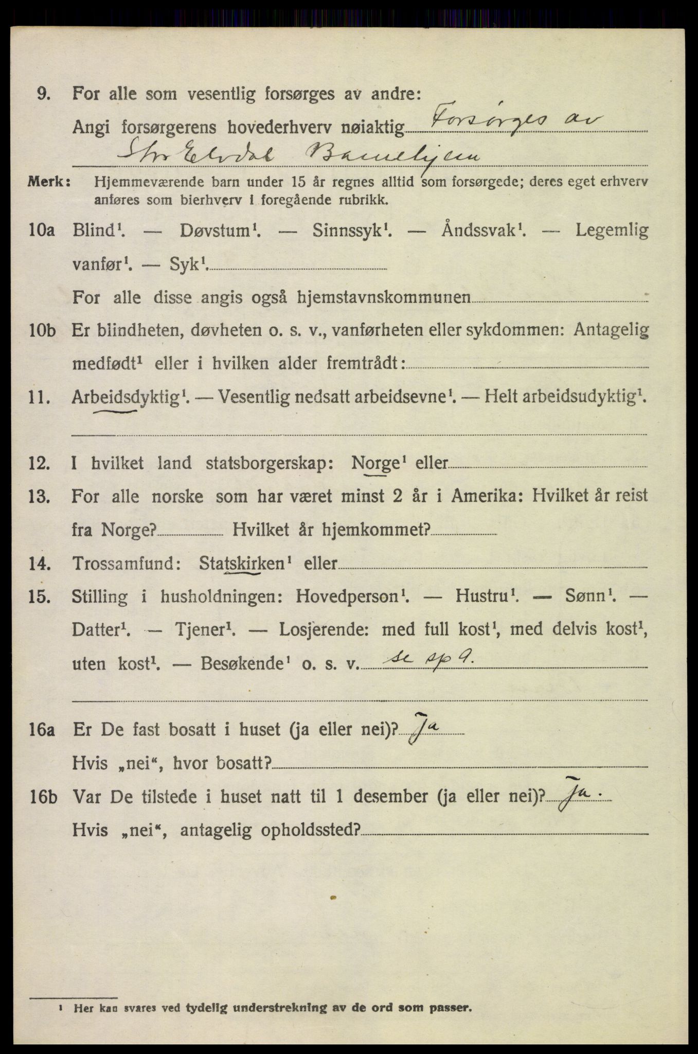 SAH, 1920 census for Stor-Elvdal, 1920, p. 4917