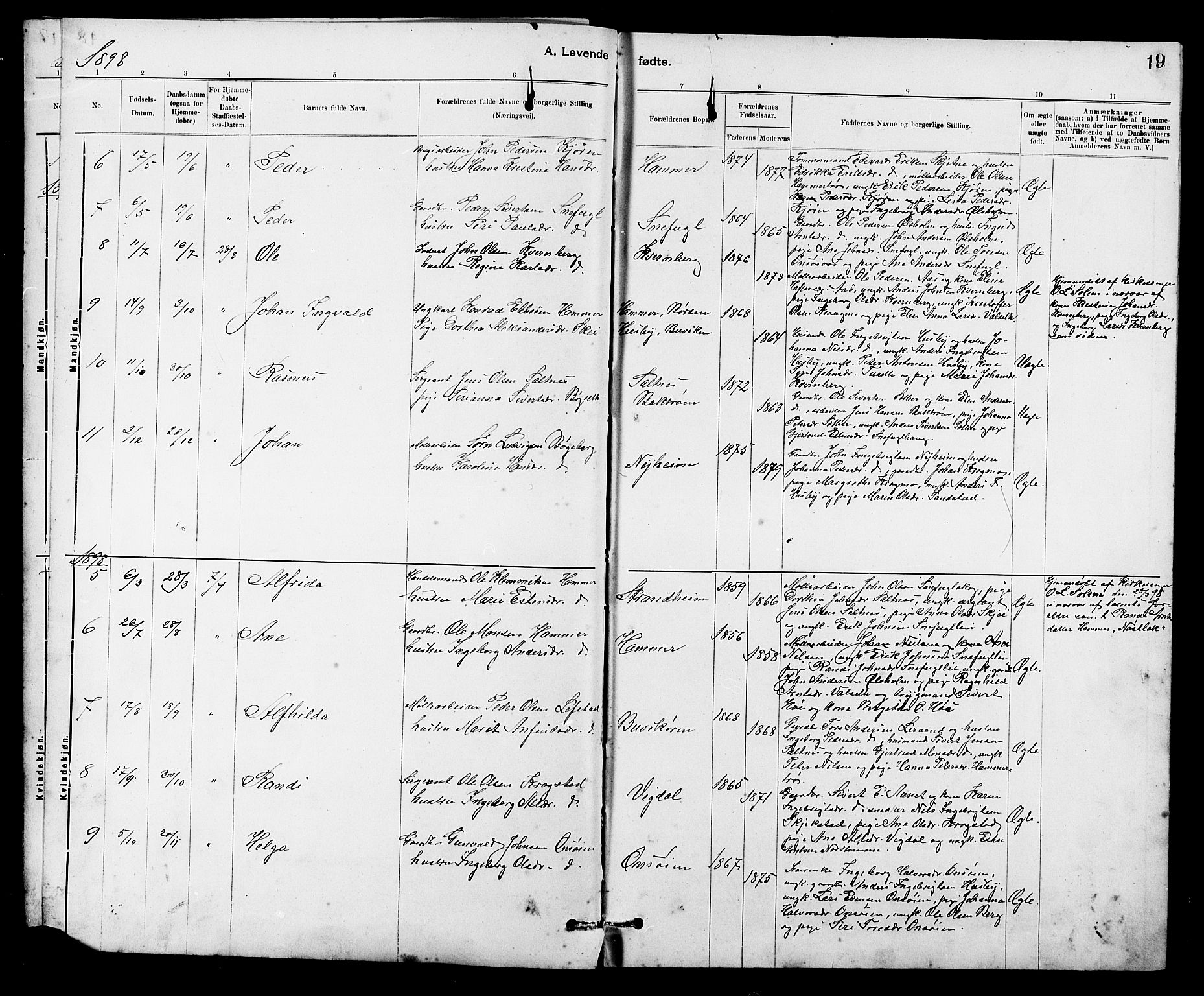 Ministerialprotokoller, klokkerbøker og fødselsregistre - Sør-Trøndelag, SAT/A-1456/666/L0790: Parish register (copy) no. 666C03, 1885-1908, p. 19