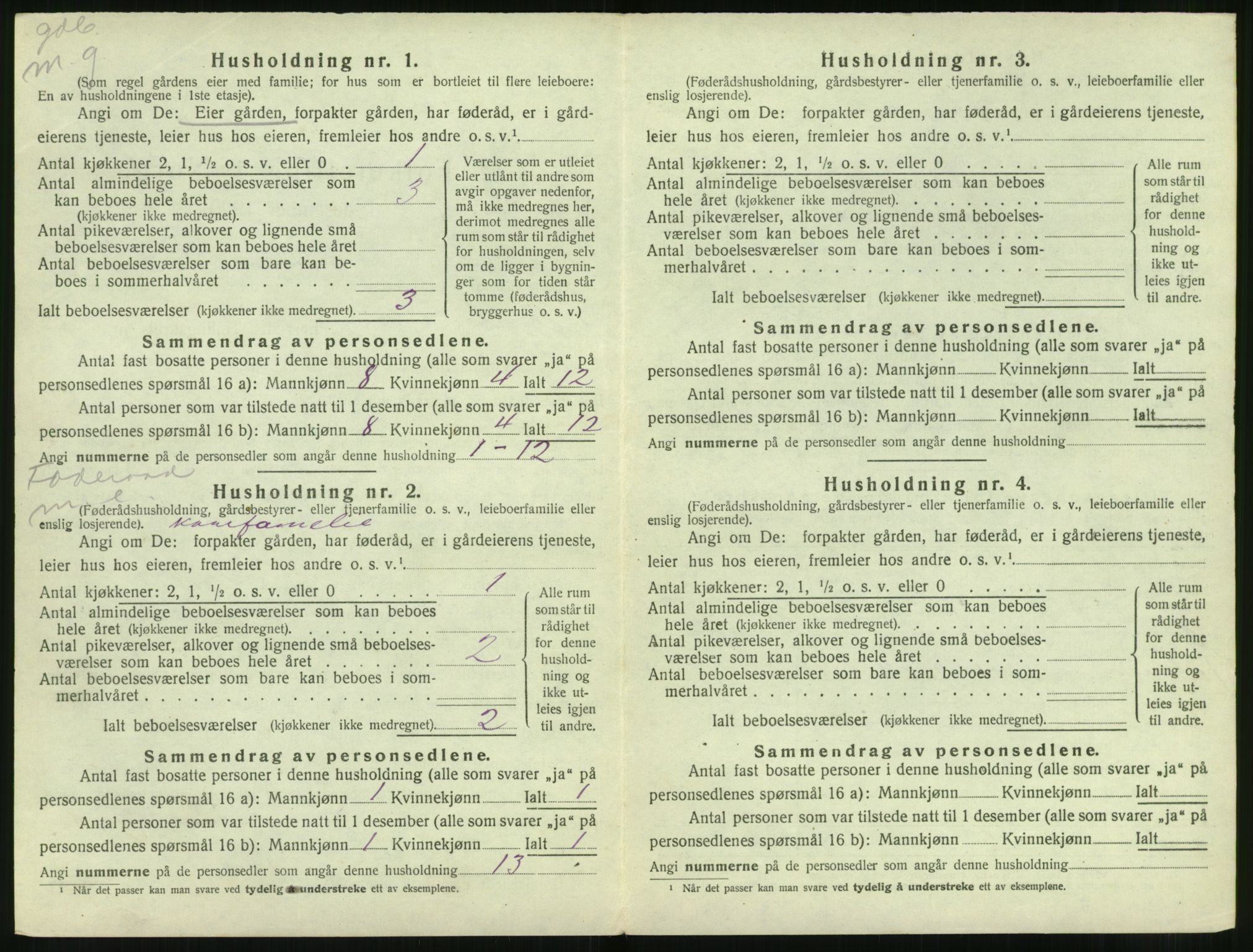 SAT, 1920 census for Sande (MR), 1920, p. 207