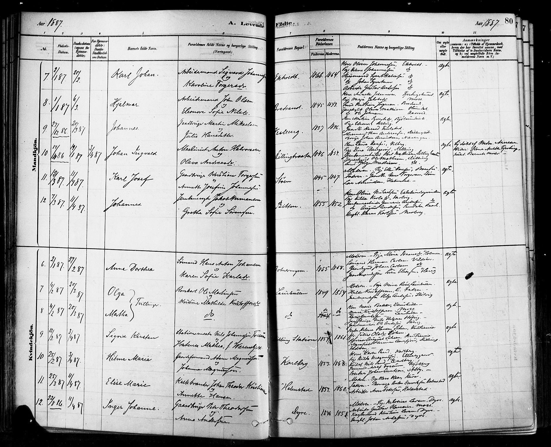 Rygge prestekontor Kirkebøker, SAO/A-10084b/F/Fa/L0007: Parish register (official) no. 7, 1878-1904, p. 80