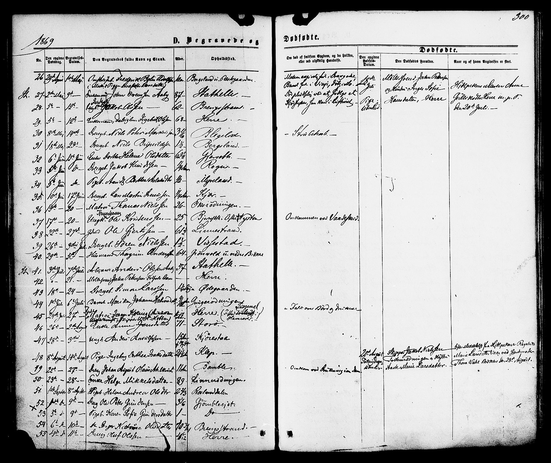 Bamble kirkebøker, SAKO/A-253/F/Fa/L0006: Parish register (official) no. I 6, 1869-1877, p. 300