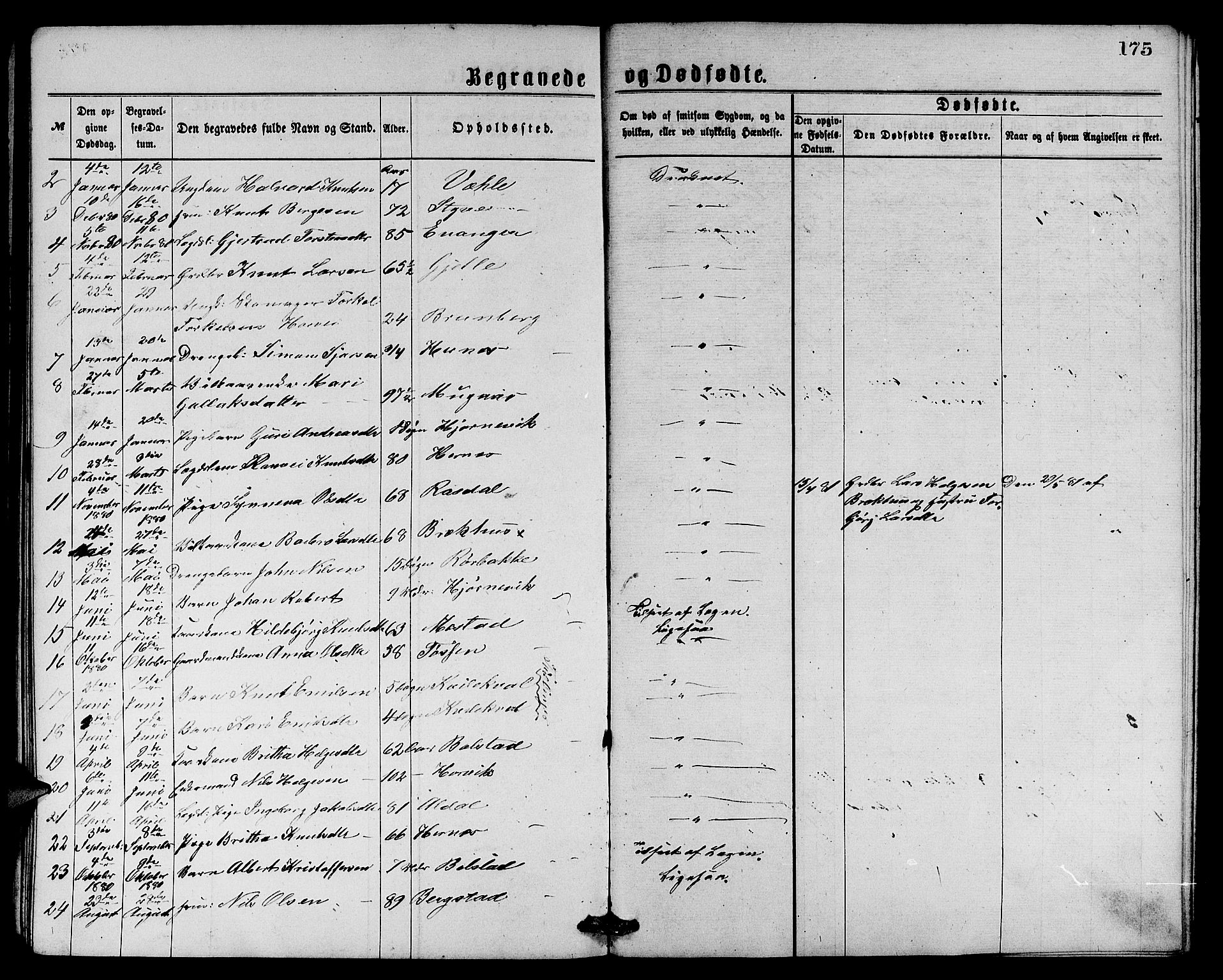 Evanger sokneprestembete, SAB/A-99924: Parish register (copy) no. A 3, 1875-1887, p. 175