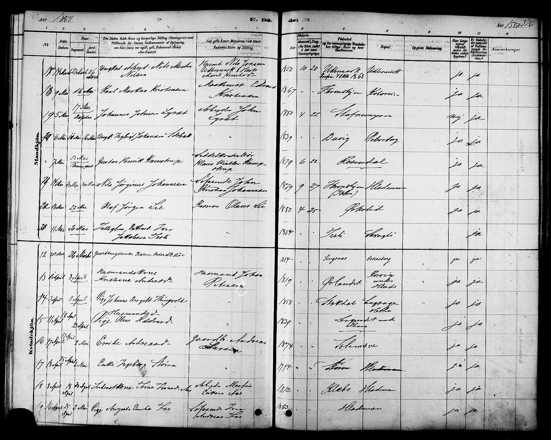 Ministerialprotokoller, klokkerbøker og fødselsregistre - Sør-Trøndelag, AV/SAT-A-1456/606/L0294: Parish register (official) no. 606A09, 1878-1886, p. 376