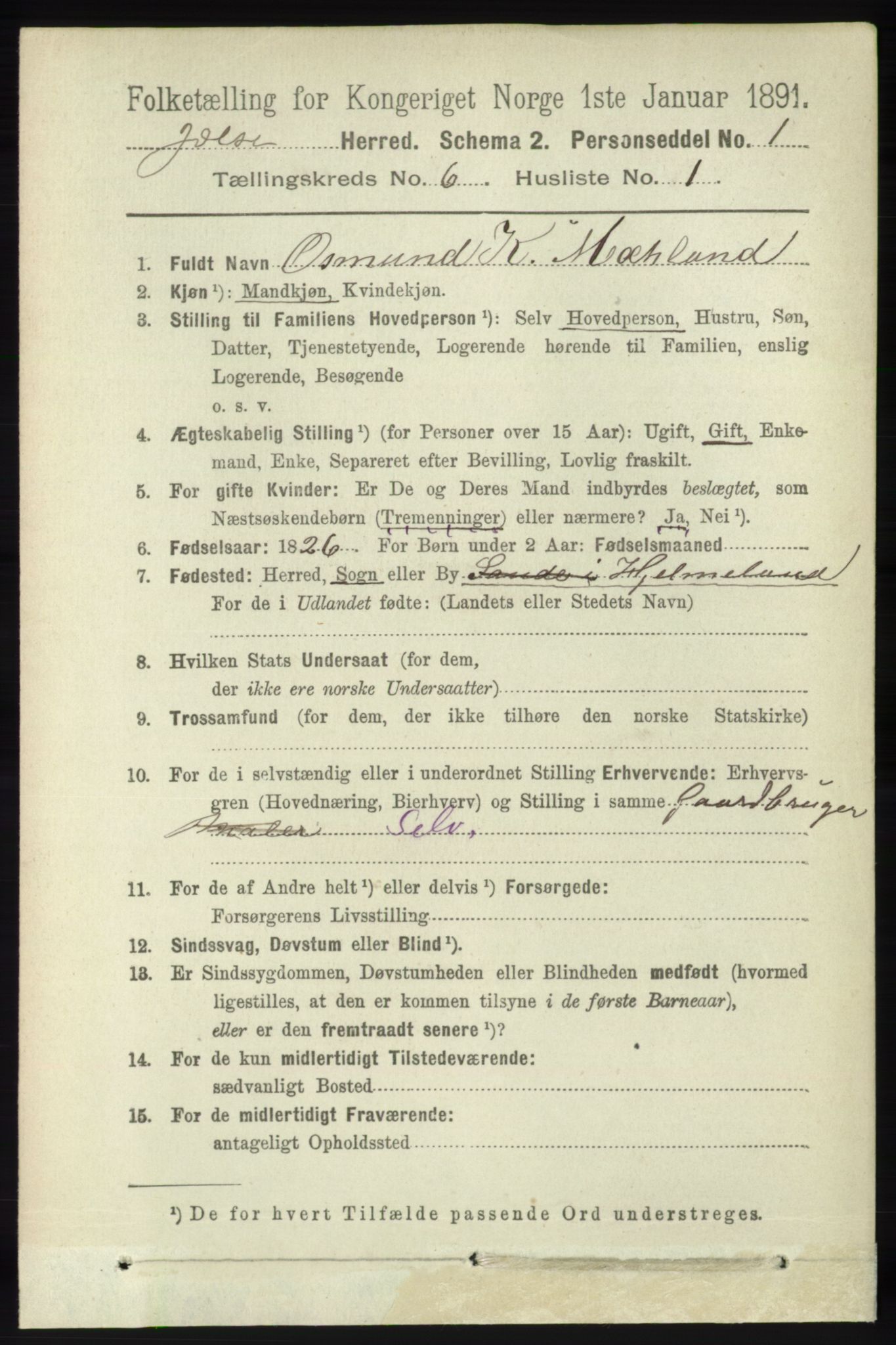 RA, 1891 census for 1138 Jelsa, 1891, p. 1211