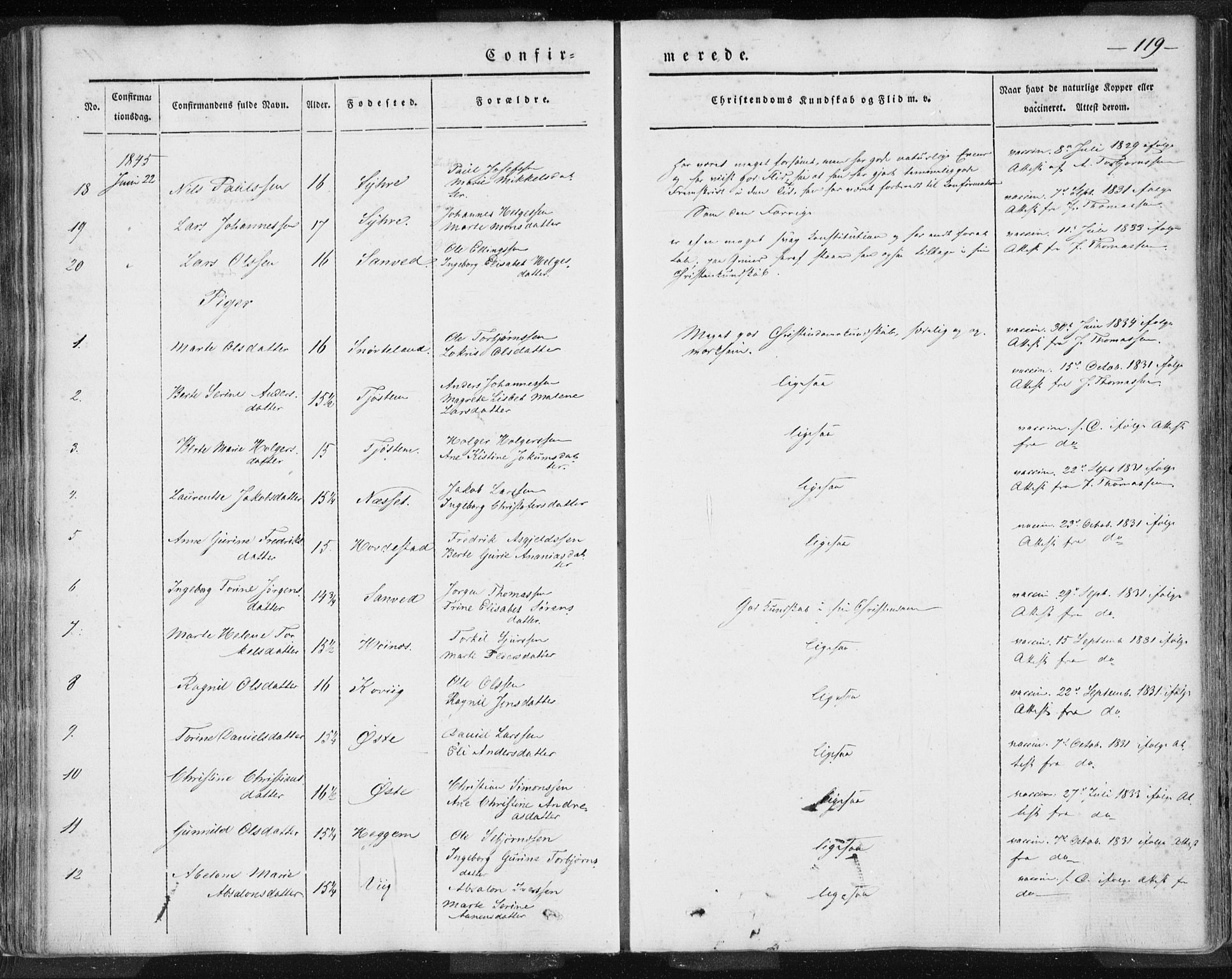 Skudenes sokneprestkontor, SAST/A -101849/H/Ha/Haa/L0002: Parish register (official) no. A 2.1, 1841-1846, p. 119