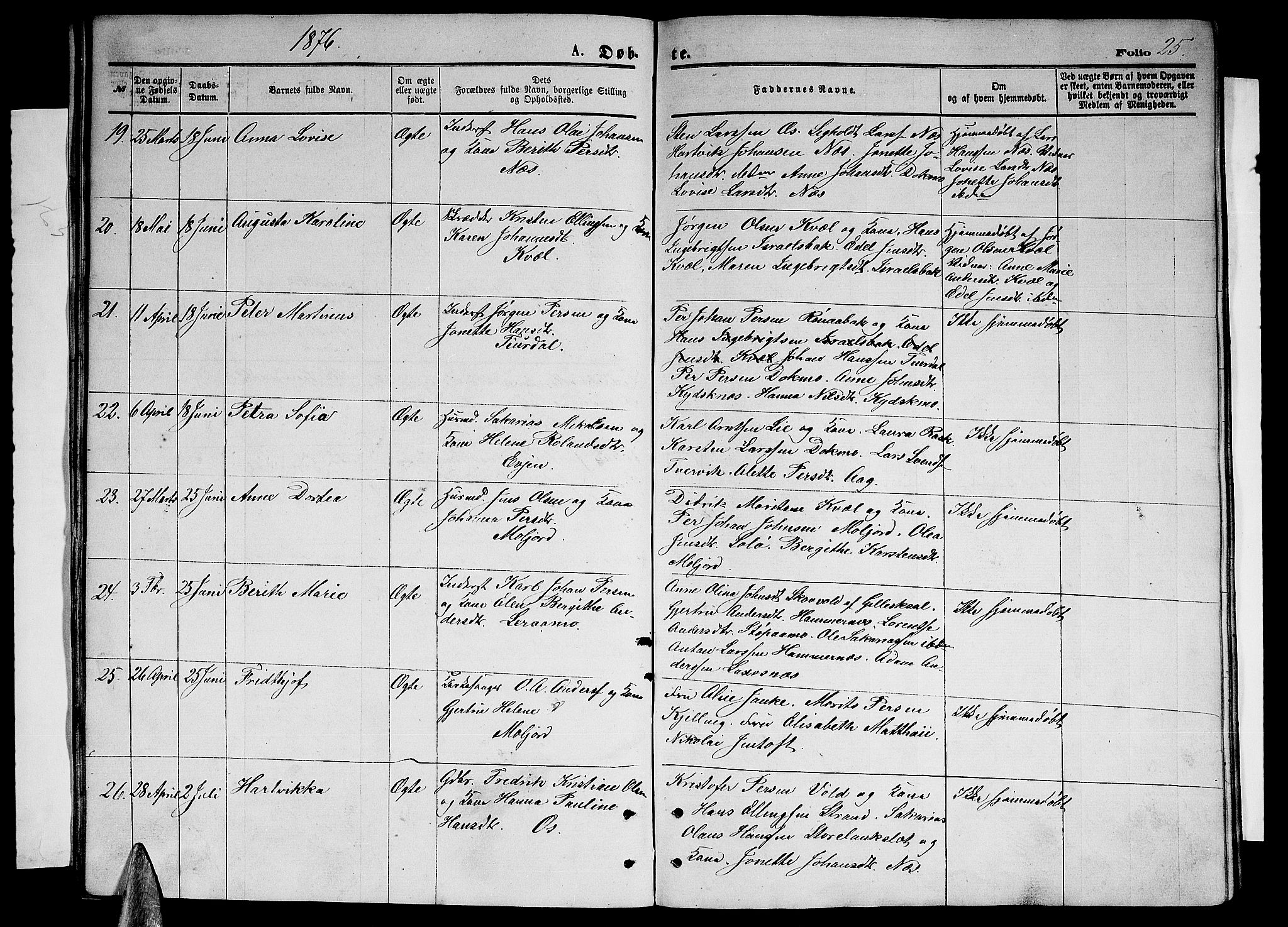Ministerialprotokoller, klokkerbøker og fødselsregistre - Nordland, SAT/A-1459/846/L0653: Parish register (copy) no. 846C03, 1872-1887, p. 25