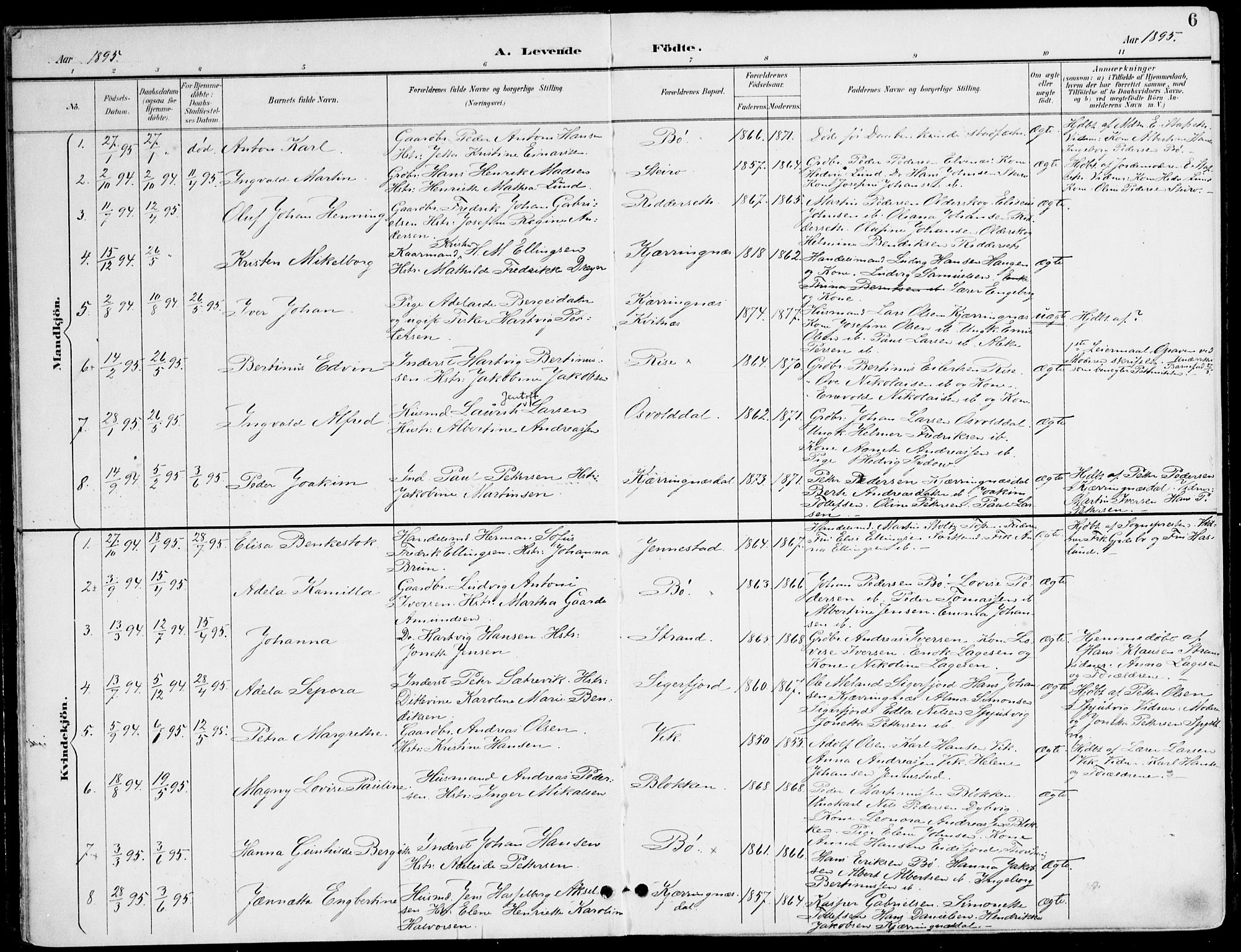 Ministerialprotokoller, klokkerbøker og fødselsregistre - Nordland, AV/SAT-A-1459/895/L1372: Parish register (official) no. 895A07, 1894-1914, p. 6