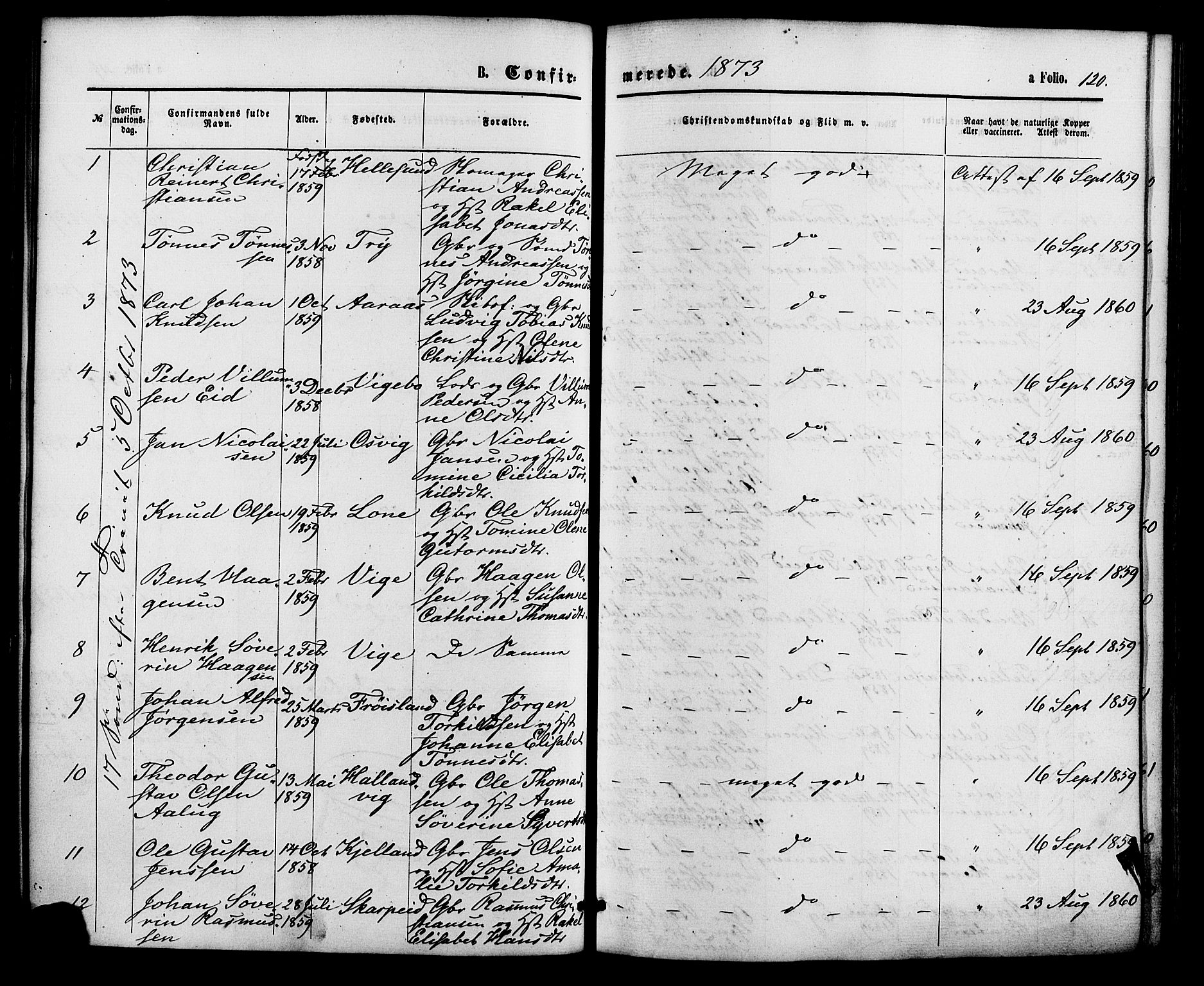 Søgne sokneprestkontor, SAK/1111-0037/F/Fa/Fab/L0011: Parish register (official) no. A 11, 1869-1879, p. 120