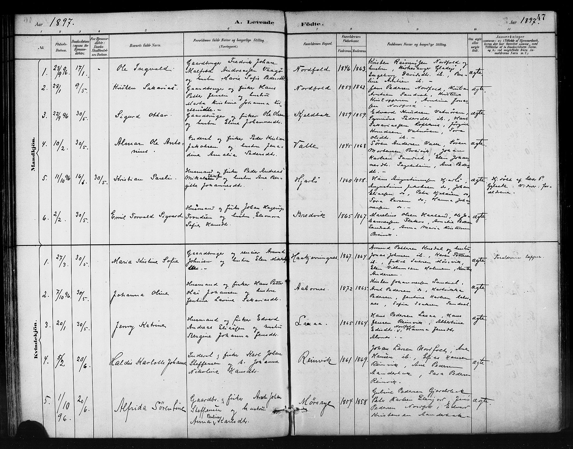 Ministerialprotokoller, klokkerbøker og fødselsregistre - Nordland, AV/SAT-A-1459/858/L0831: Parish register (official) no. 858A01, 1884-1902, p. 47