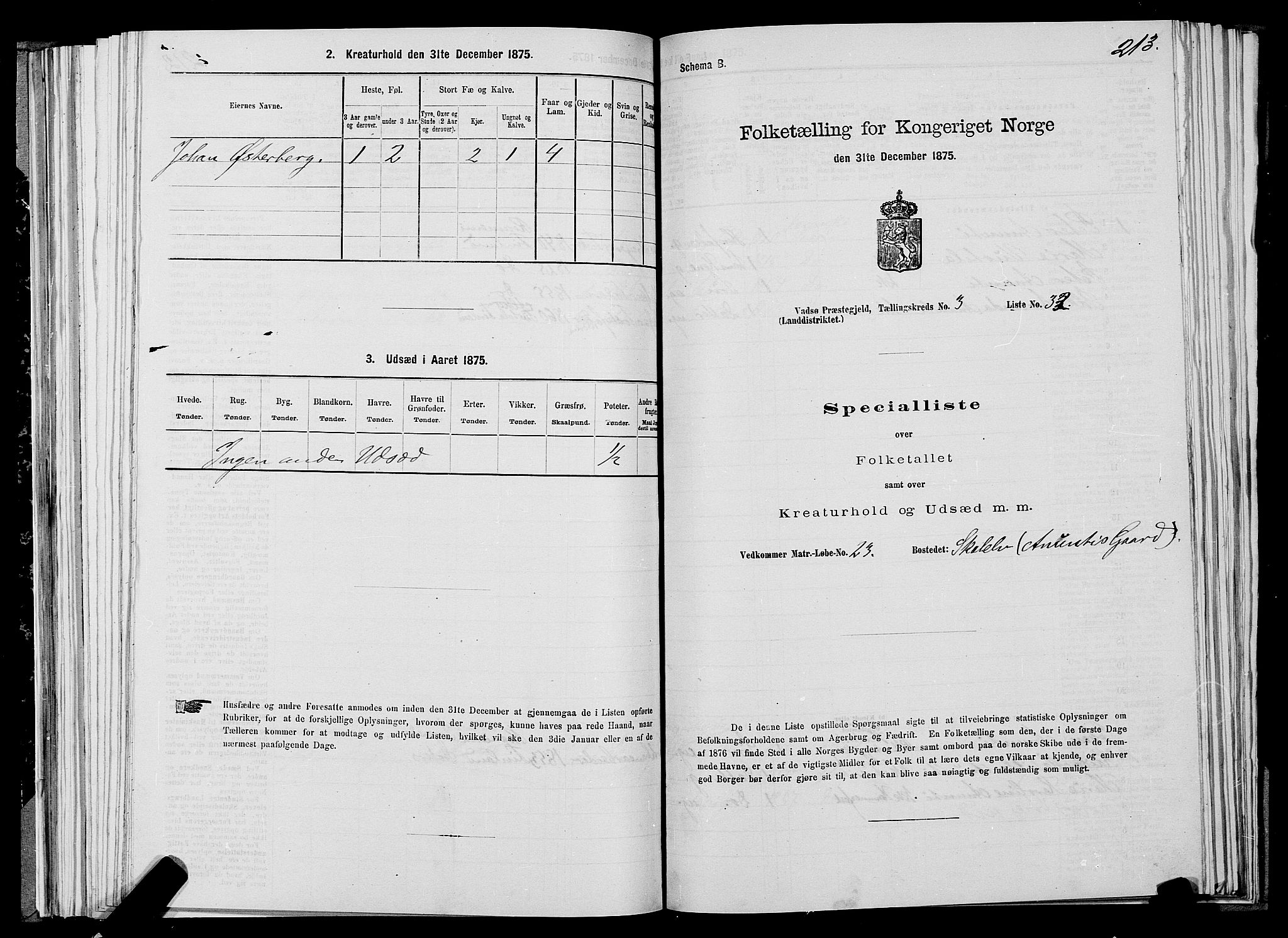 SATØ, 1875 census for 2029L Vadsø/Vadsø, 1875, p. 1213