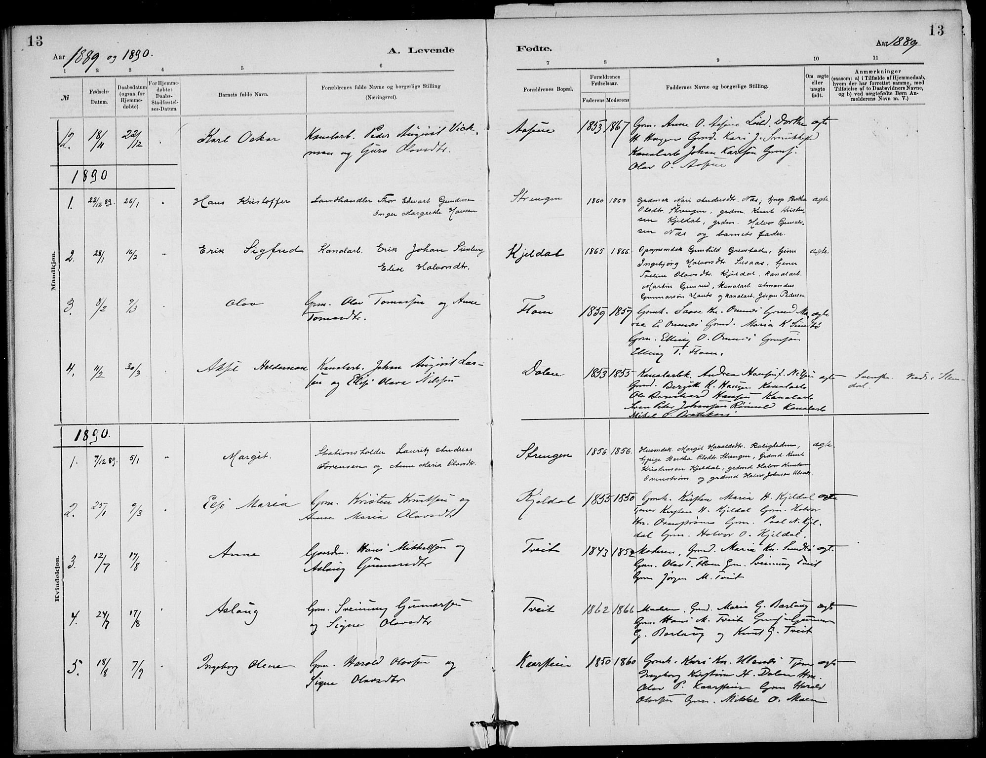 Lunde kirkebøker, AV/SAKO-A-282/F/Fb/L0003: Parish register (official) no. II 3, 1882-1891, p. 13