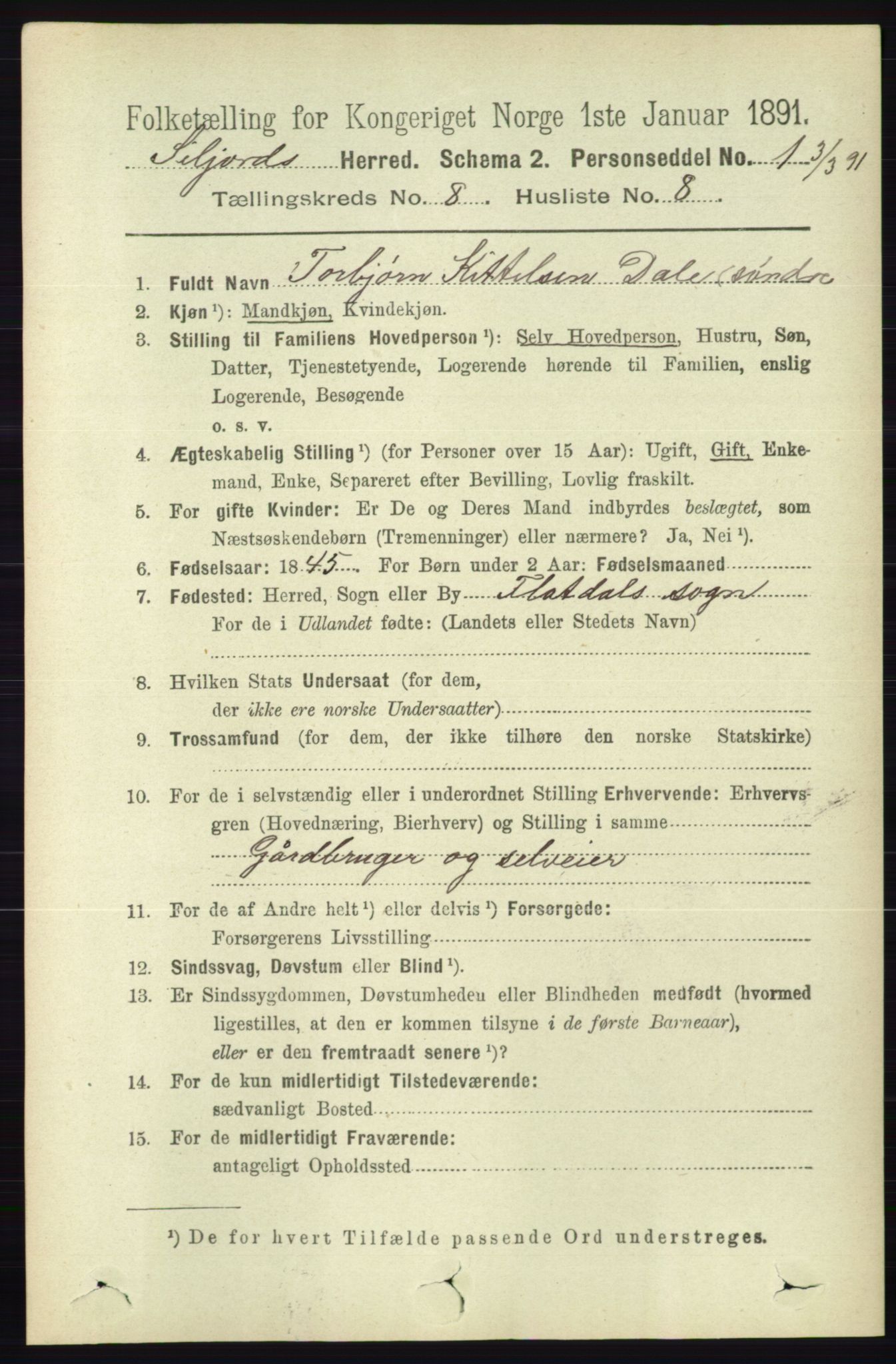 RA, 1891 census for 0828 Seljord, 1891, p. 2914