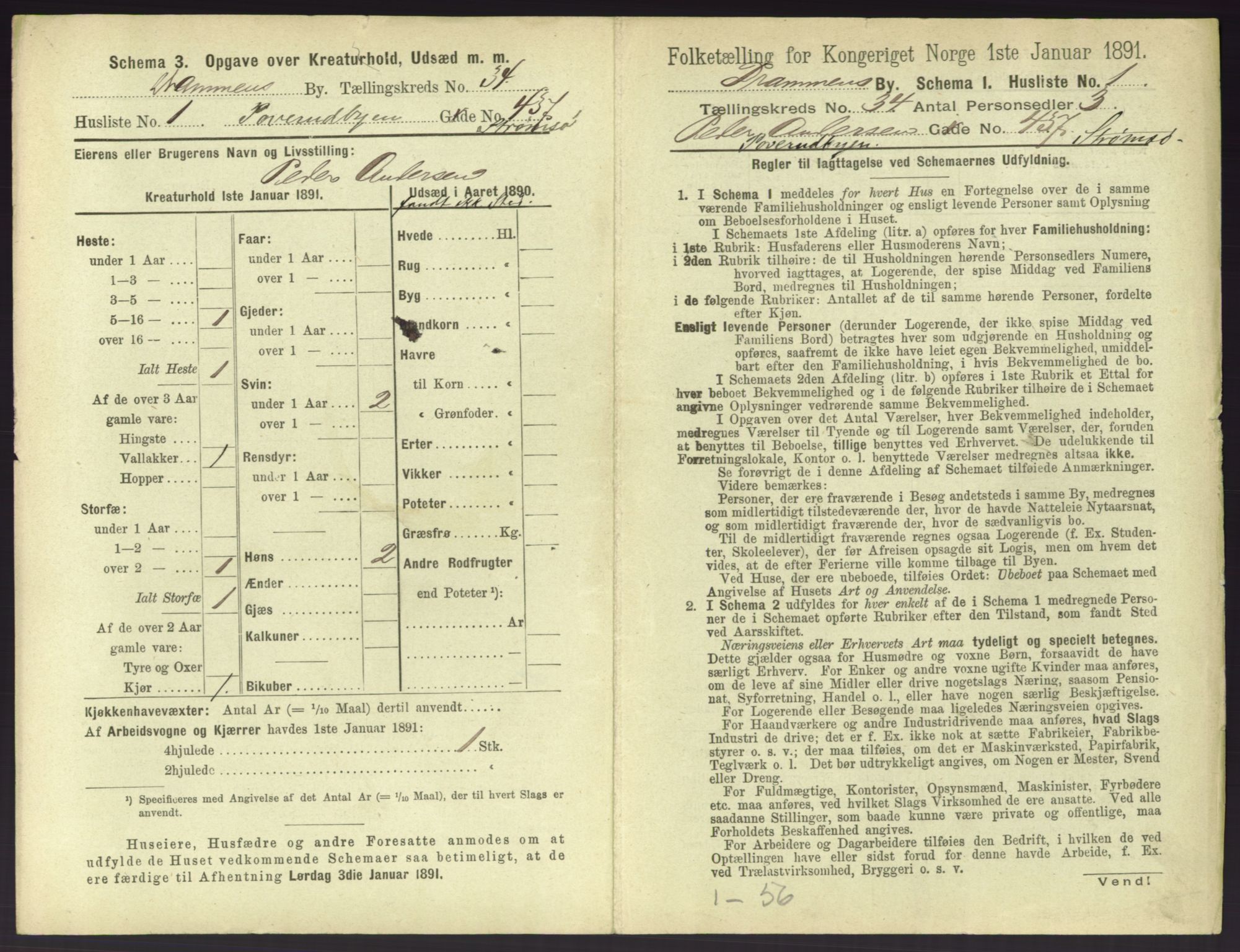 RA, 1891 census for 0602 Drammen, 1891, p. 2995