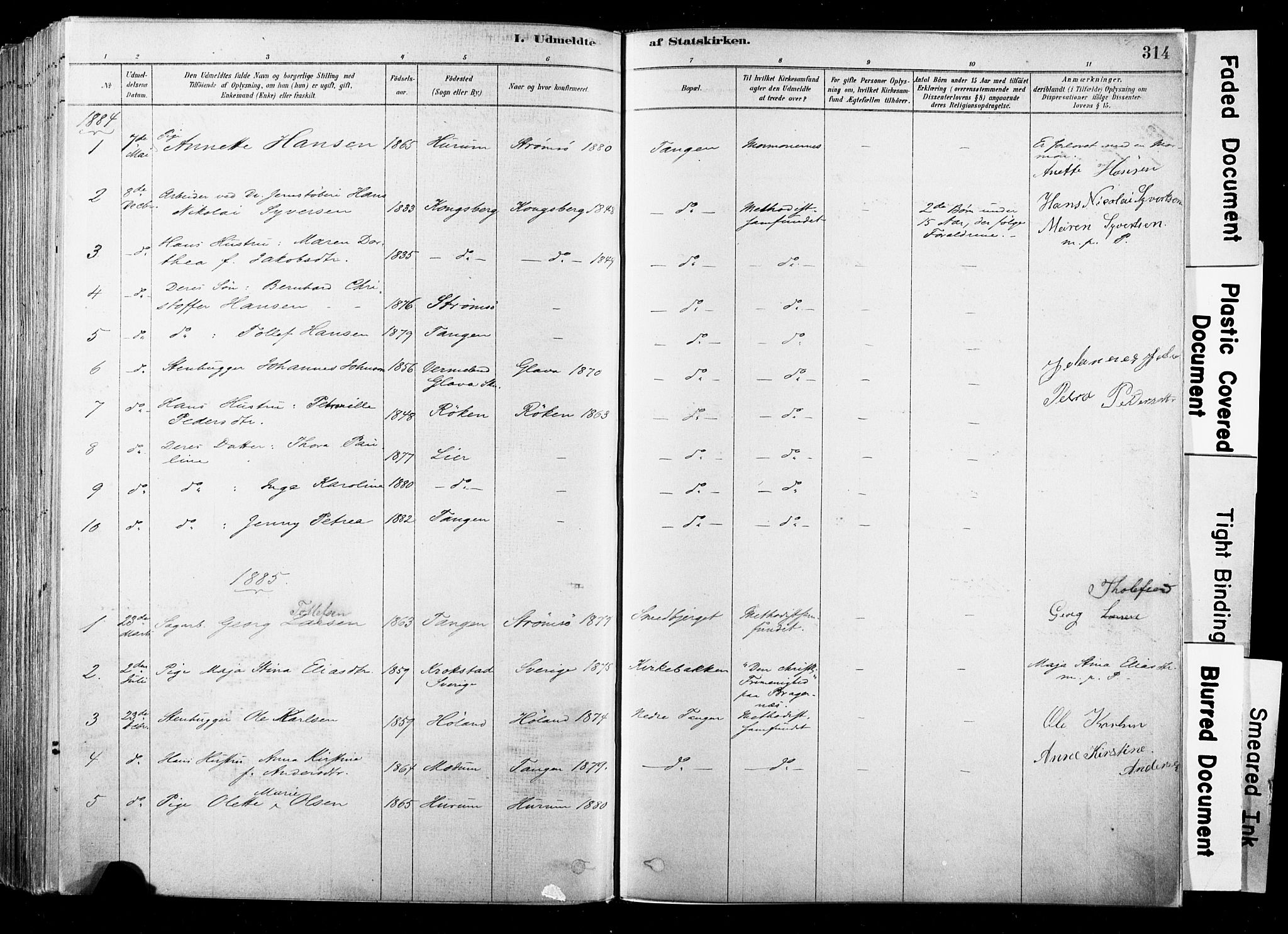 Strømsø kirkebøker, SAKO/A-246/F/Fb/L0006: Parish register (official) no. II 6, 1879-1910, p. 314