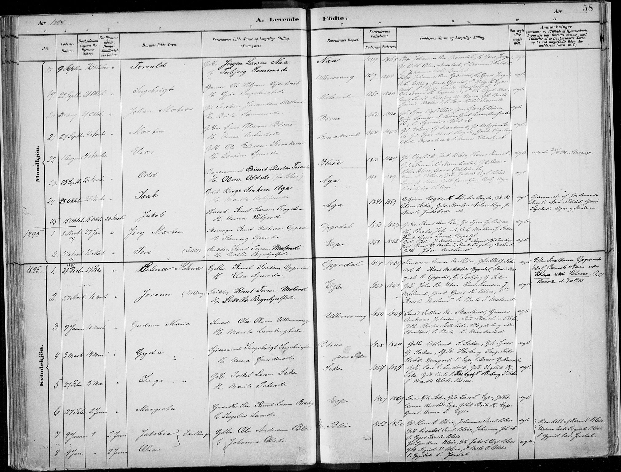 Ullensvang sokneprestembete, AV/SAB-A-78701/H/Haa: Parish register (official) no. B  1, 1882-1918, p. 58