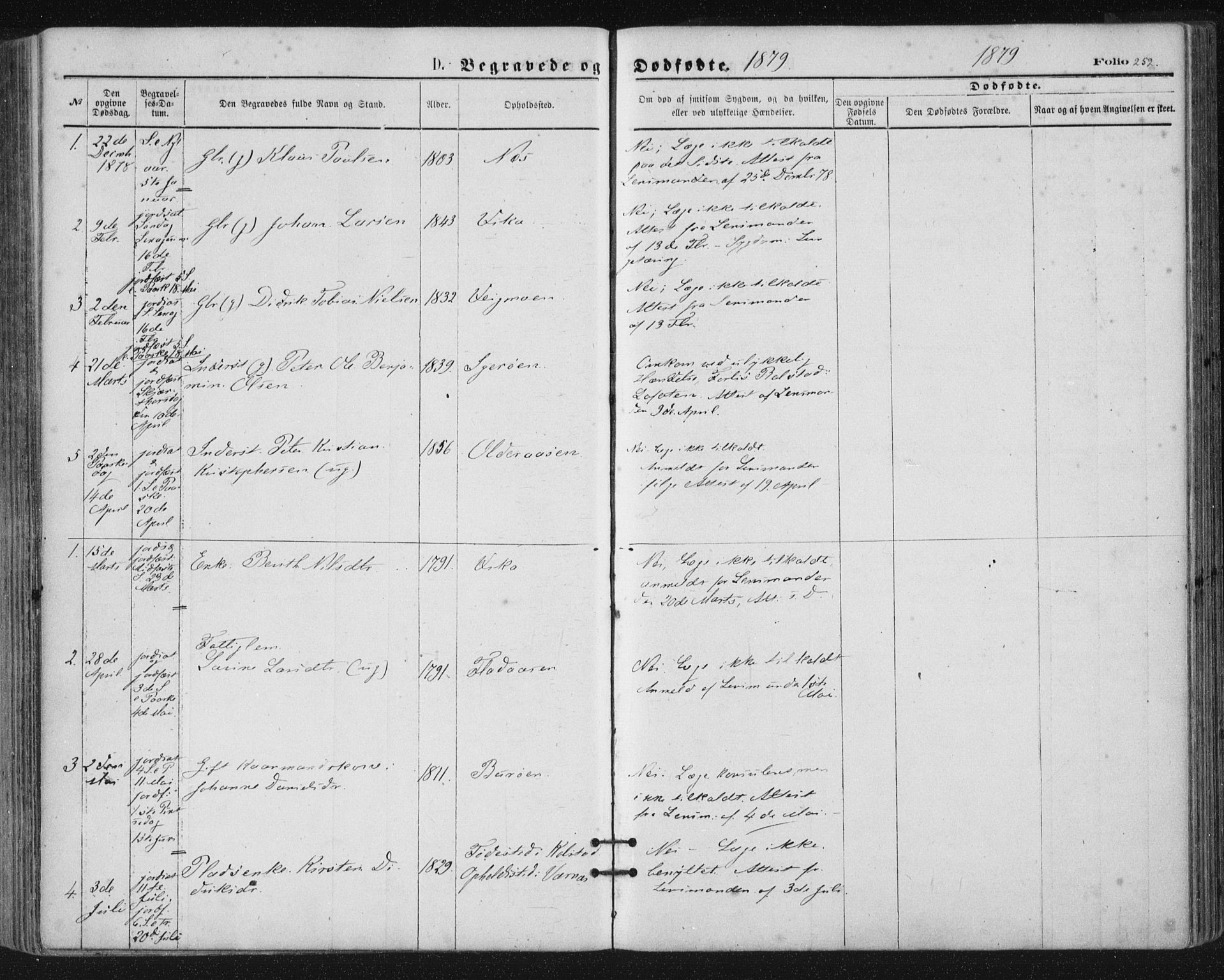 Ministerialprotokoller, klokkerbøker og fødselsregistre - Nordland, SAT/A-1459/816/L0241: Parish register (official) no. 816A07, 1870-1885, p. 252