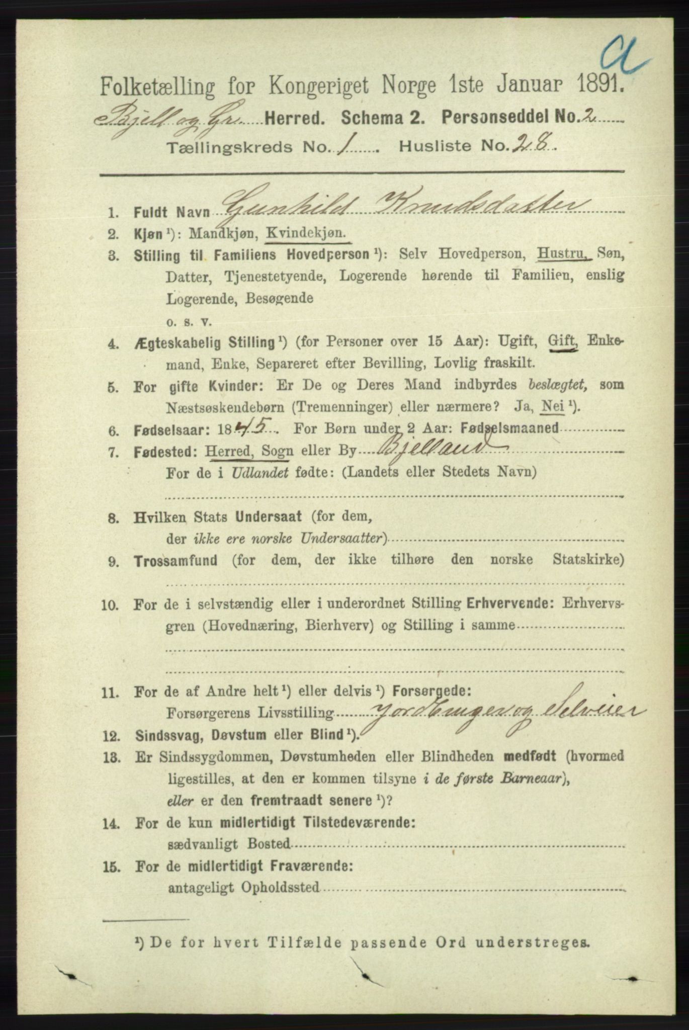 RA, 1891 census for 1024 Bjelland og Grindheim, 1891, p. 203