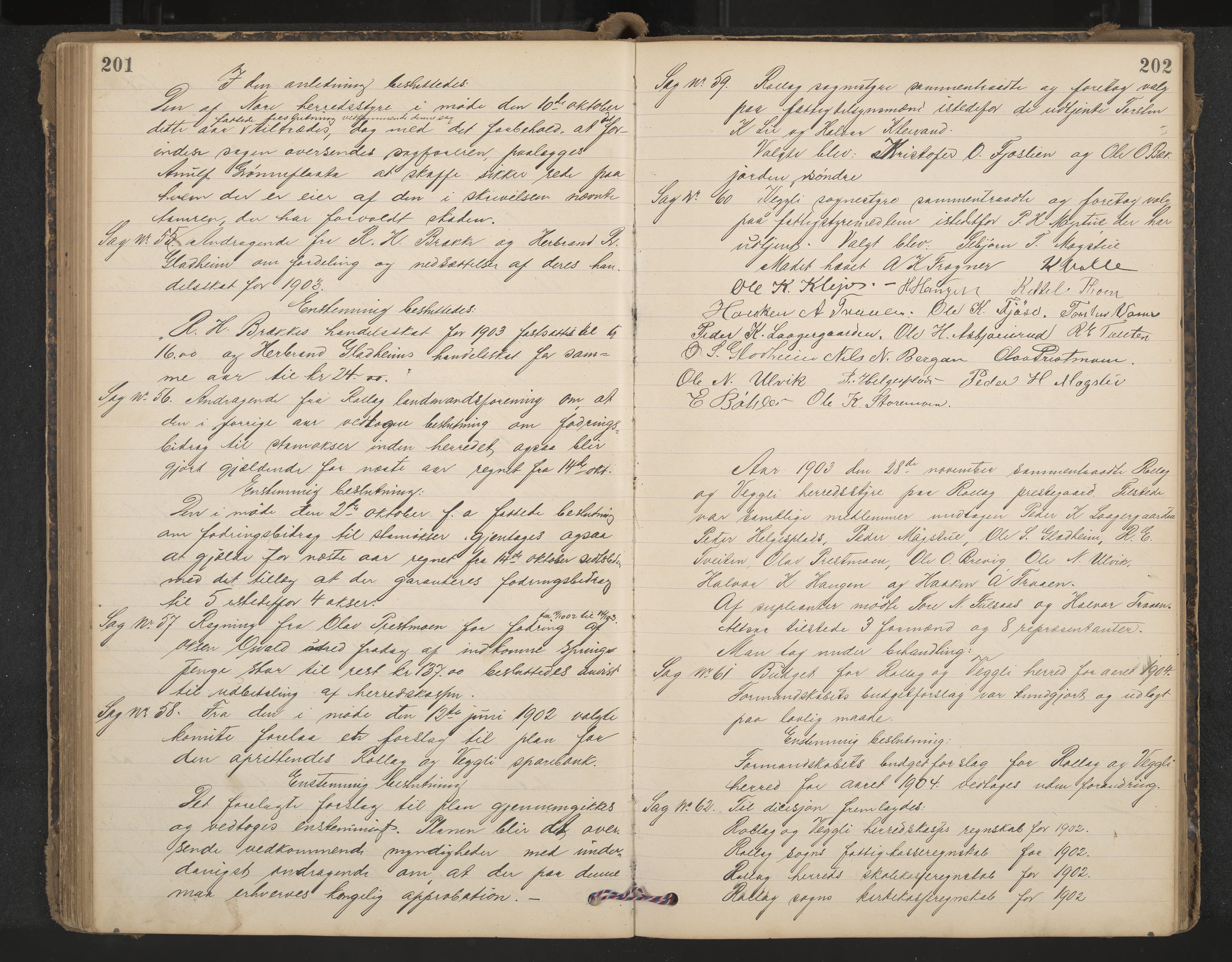 Rollag formannskap og sentraladministrasjon, IKAK/0632021-2/A/Aa/L0004: Møtebok, 1897-1909, p. 201-202