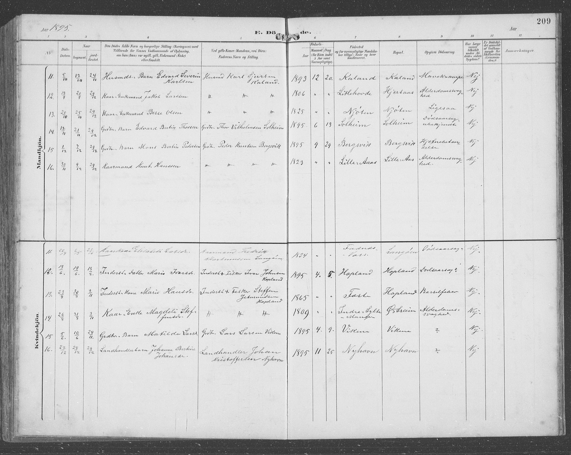 Lindås Sokneprestembete, SAB/A-76701/H/Hab: Parish register (copy) no. C 4, 1894-1910, p. 209