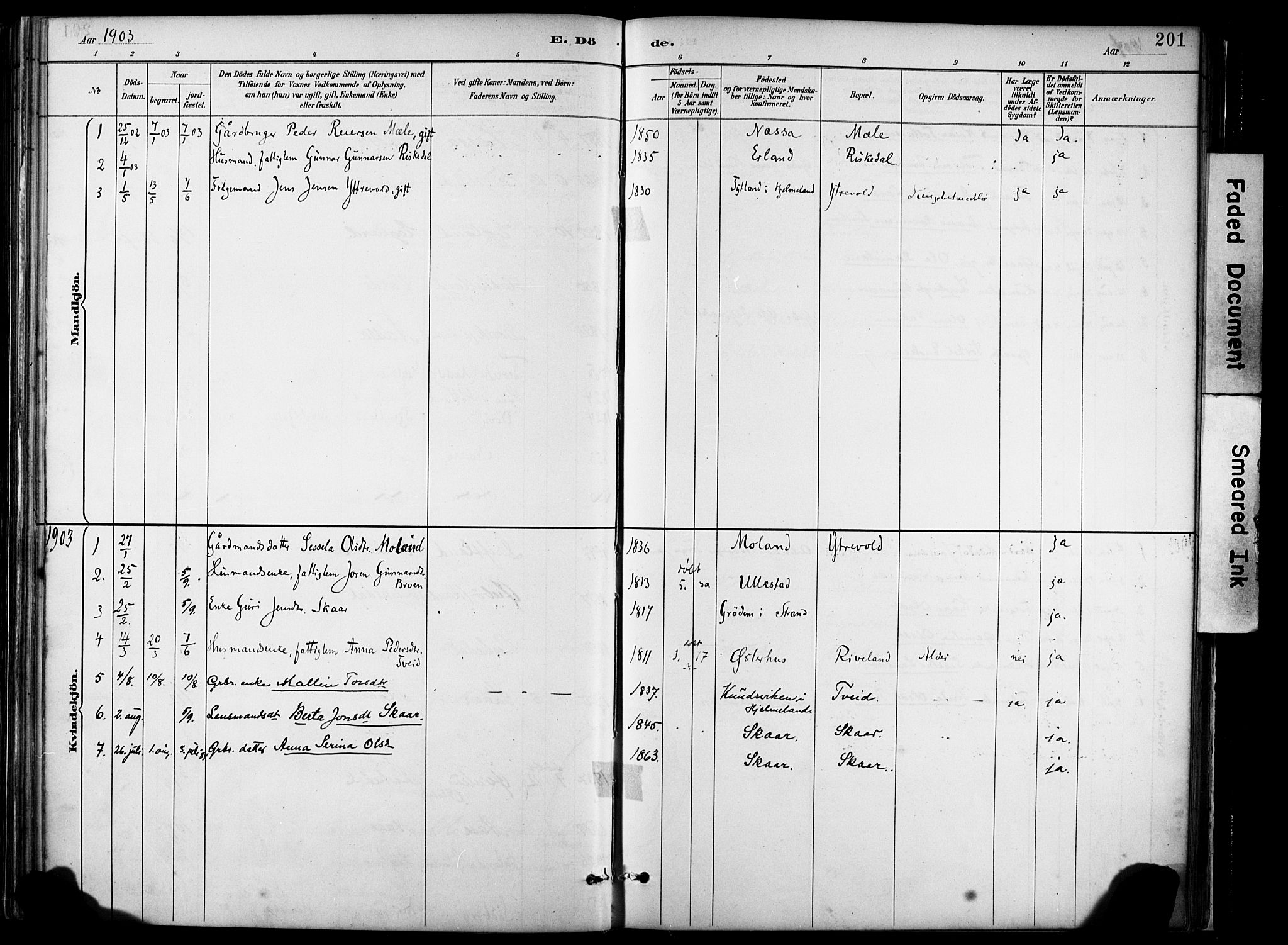 Hjelmeland sokneprestkontor, AV/SAST-A-101843/02/A/L0001: Parish register (official) no. A 16, 1887-1926, p. 201