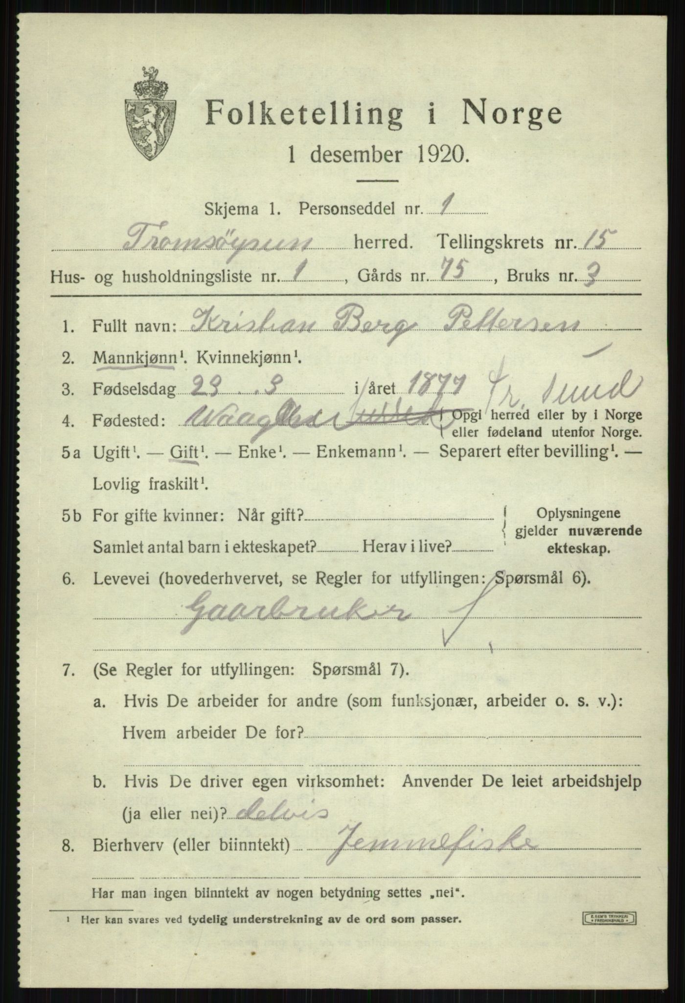 SATØ, 1920 census for Tromsøysund, 1920, p. 8910