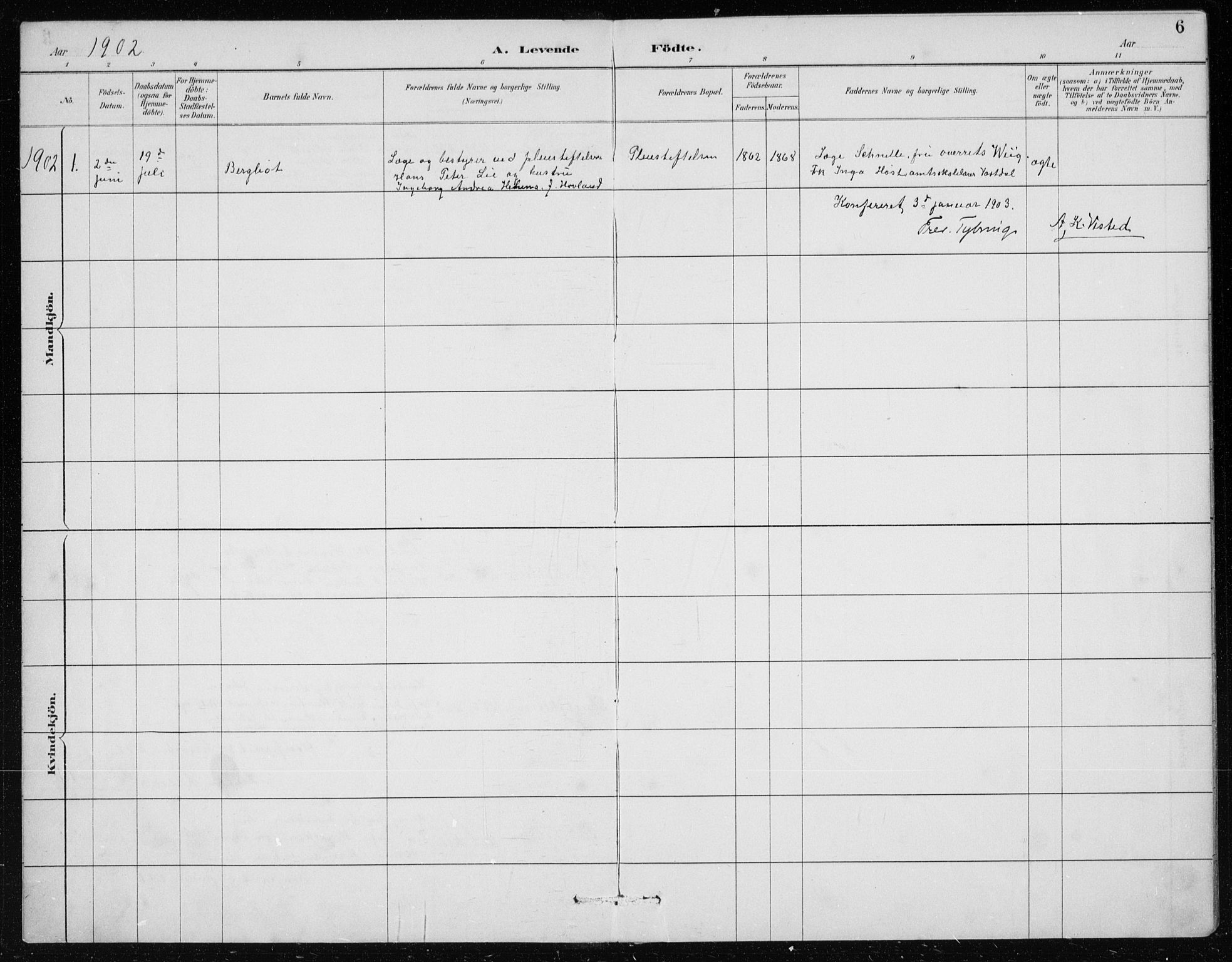 St. Jørgens hospital og Årstad sokneprestembete, AV/SAB-A-99934: Parish register (copy) no. A 10, 1886-1910, p. 6