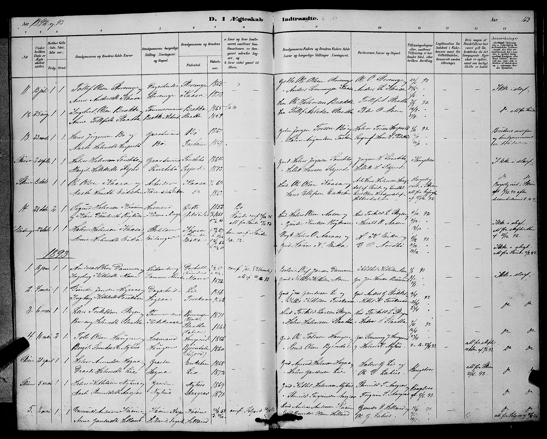 Bø kirkebøker, SAKO/A-257/G/Ga/L0005: Parish register (copy) no. 5, 1883-1897, p. 163