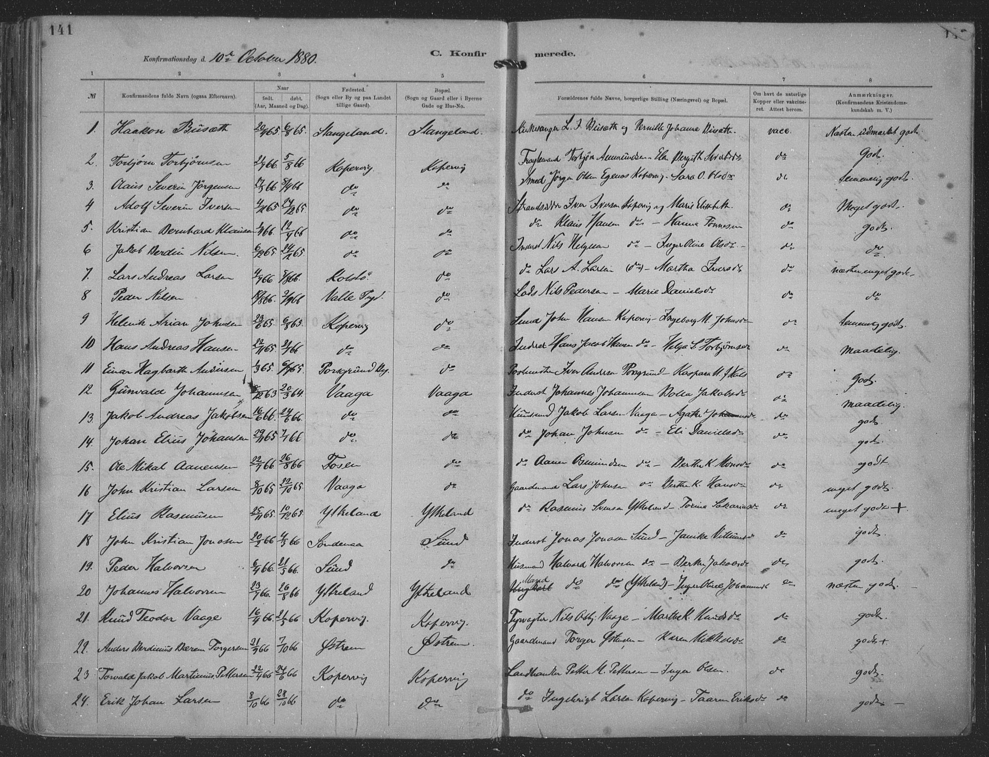 Kopervik sokneprestkontor, SAST/A-101850/H/Ha/Haa/L0001: Parish register (official) no. A 1, 1880-1919, p. 141