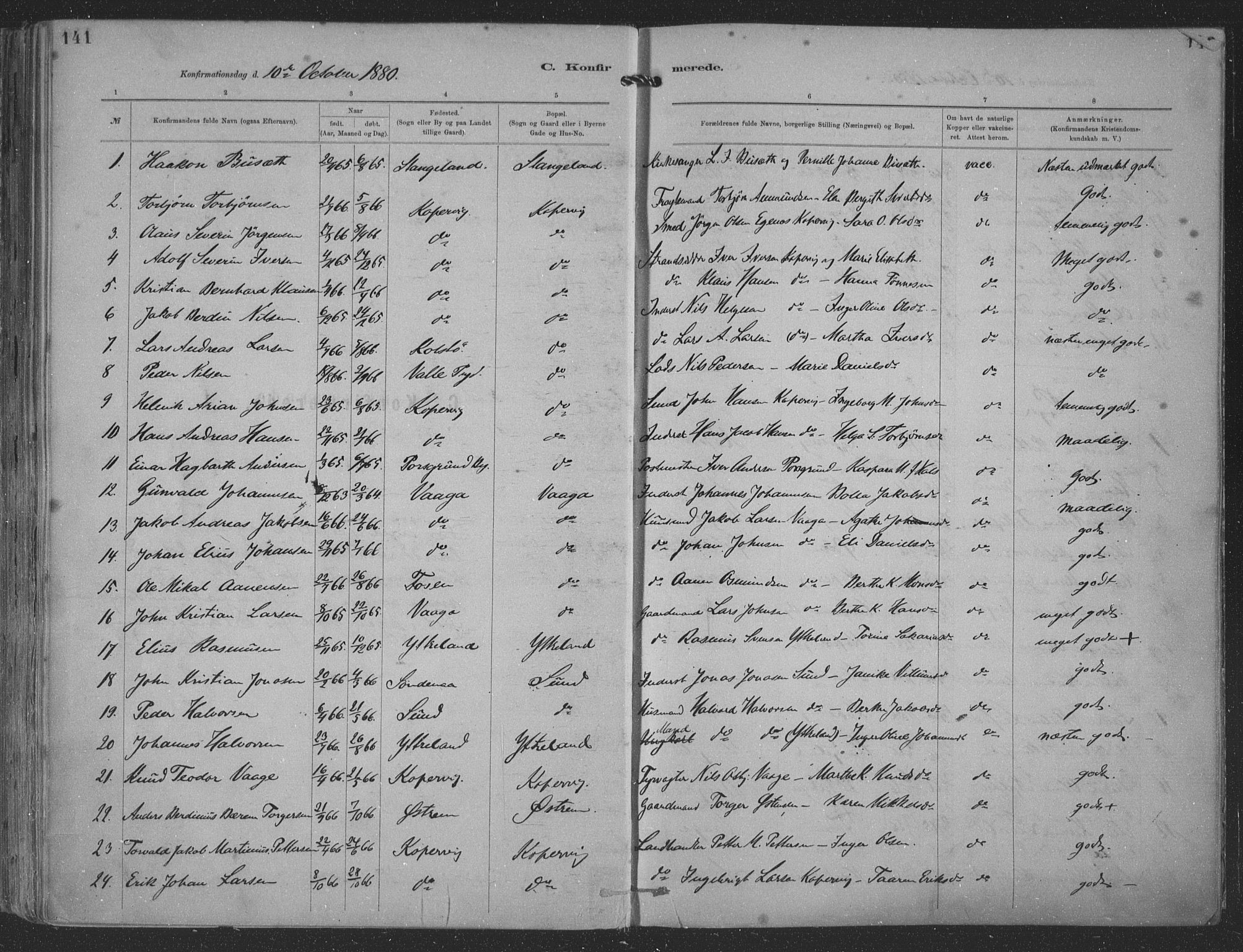 Kopervik sokneprestkontor, AV/SAST-A-101850/H/Ha/Haa/L0001: Parish register (official) no. A 1, 1880-1919, p. 141